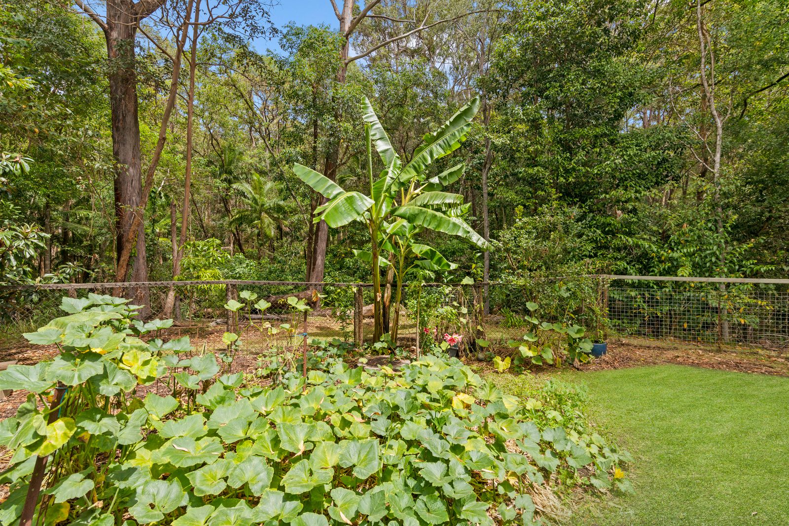 4 Breynia Court — photo 12 of 27