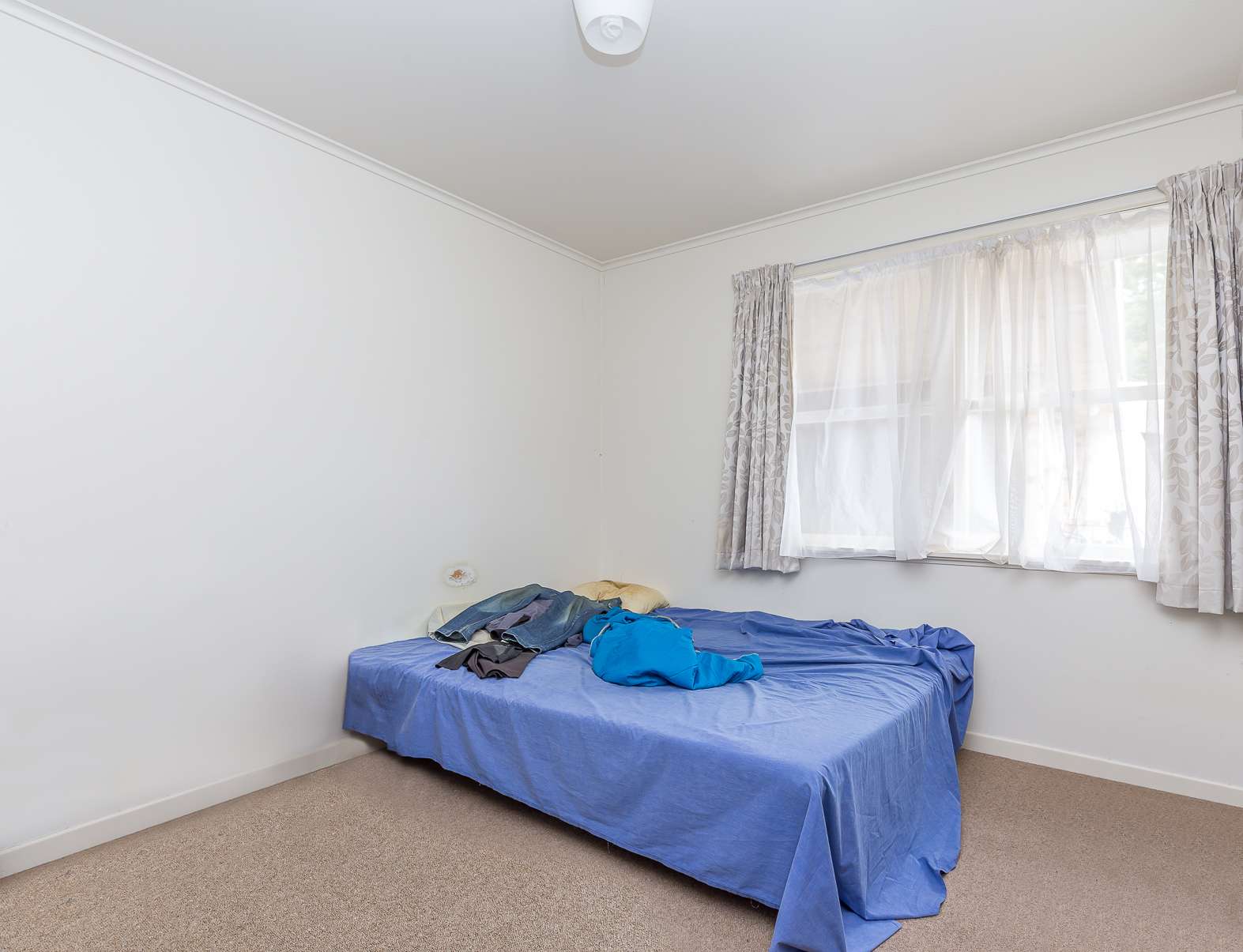 3/10 Begbie Place photo 5