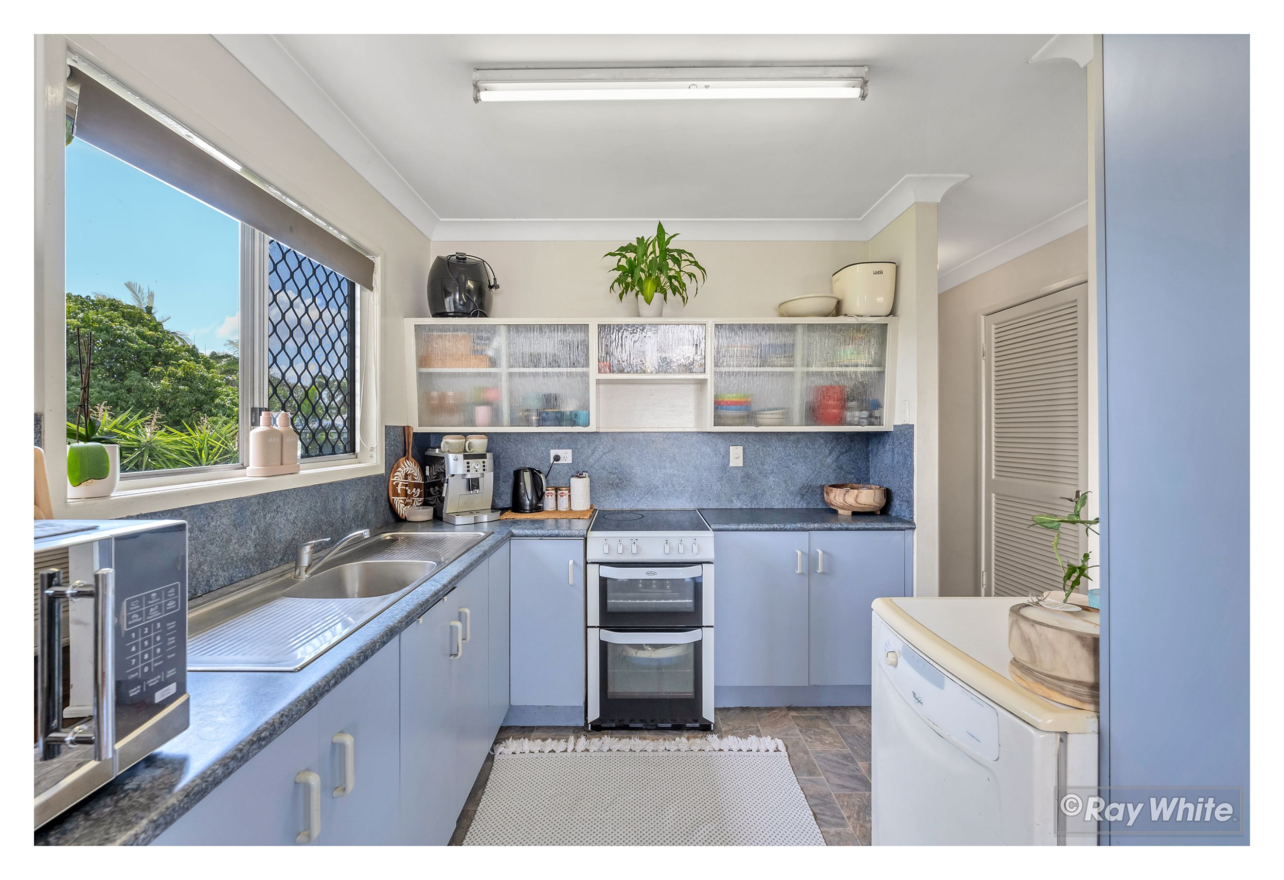 99 Haynes Street, Park Avenue, QLD 4701 Sold House Ray White