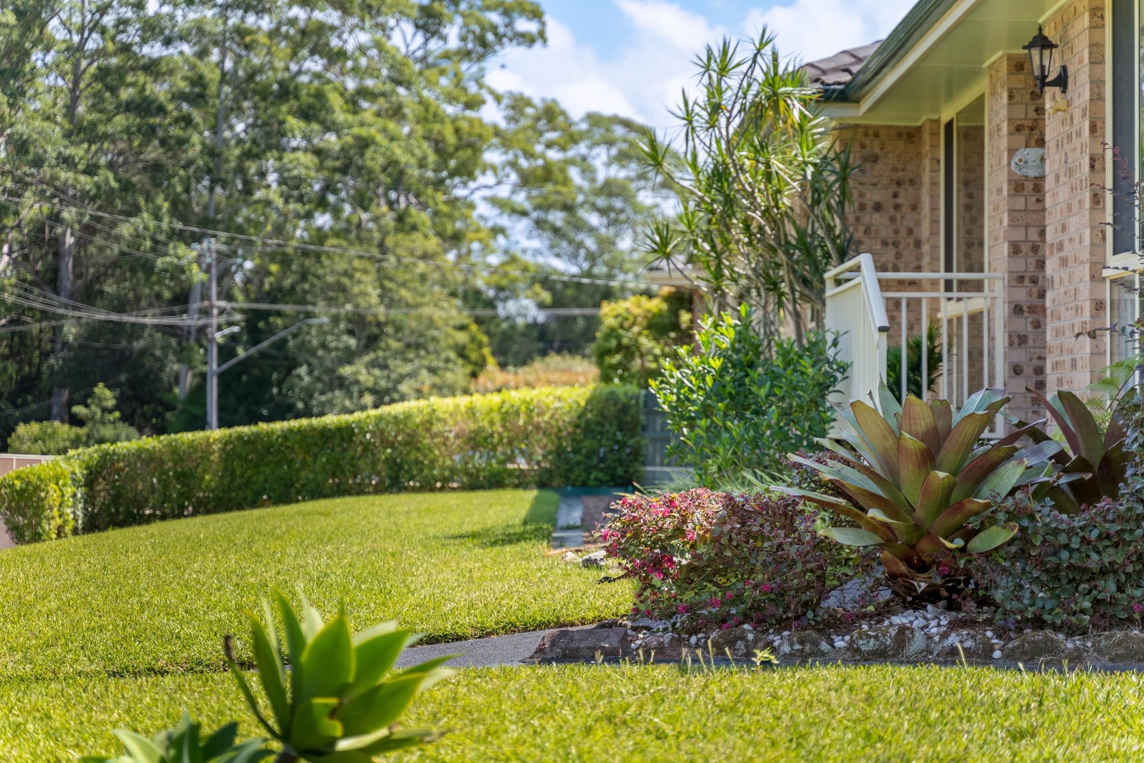 7 Rain Forest Road, Wyoming, NSW 2250