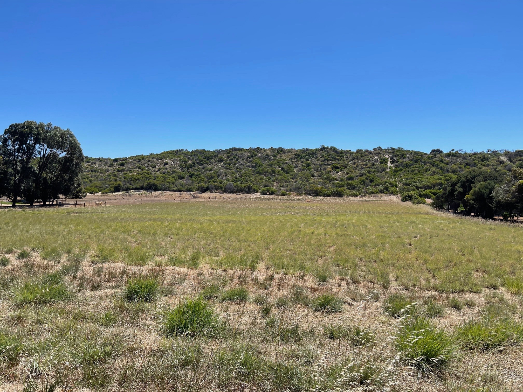 57 Brennand Road, Dongara, WA 6525