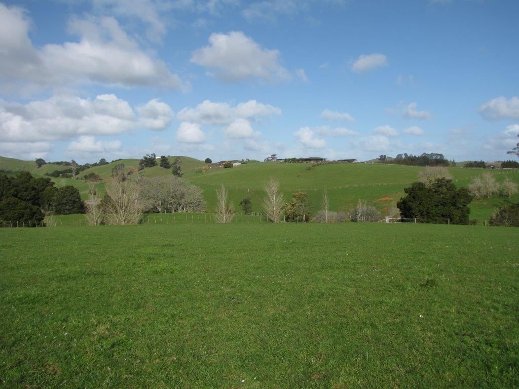 251 Jericho Road, Pukekohe, Franklin
