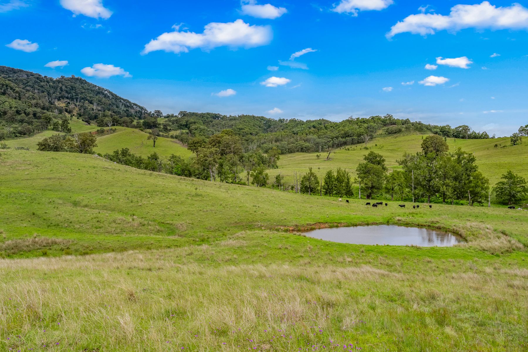 Carrowbrook Road Mount Olive — photo from Ray White Rural Singleton