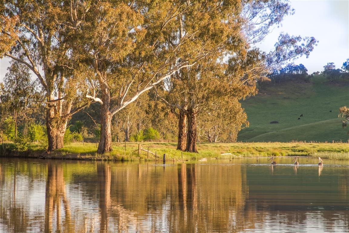 194 Quidong Road, Tumut, NSW 2720