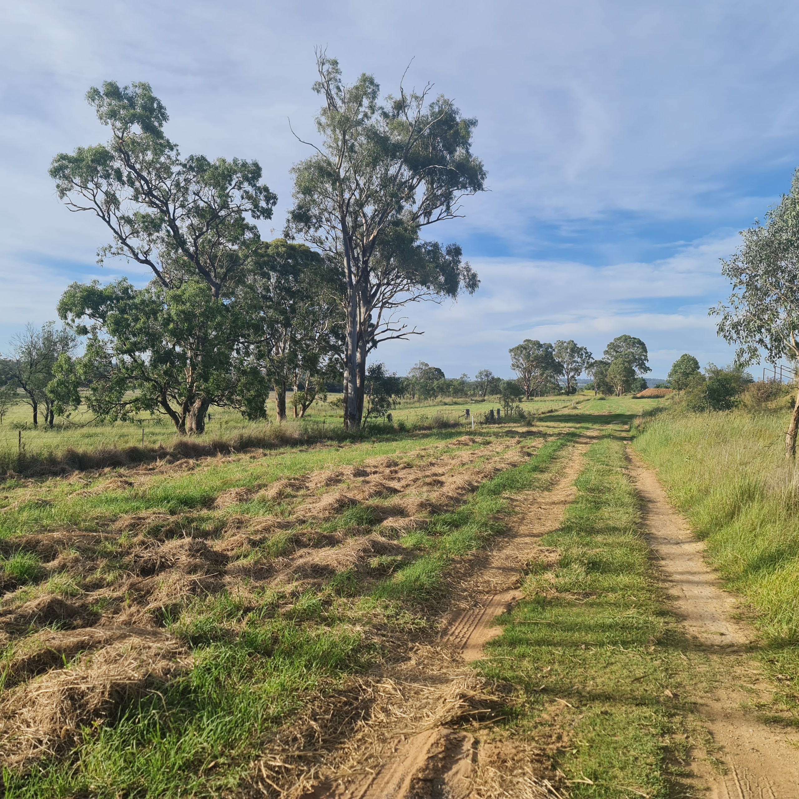 192 Rugby Street, Morgan Park, QLD 4370