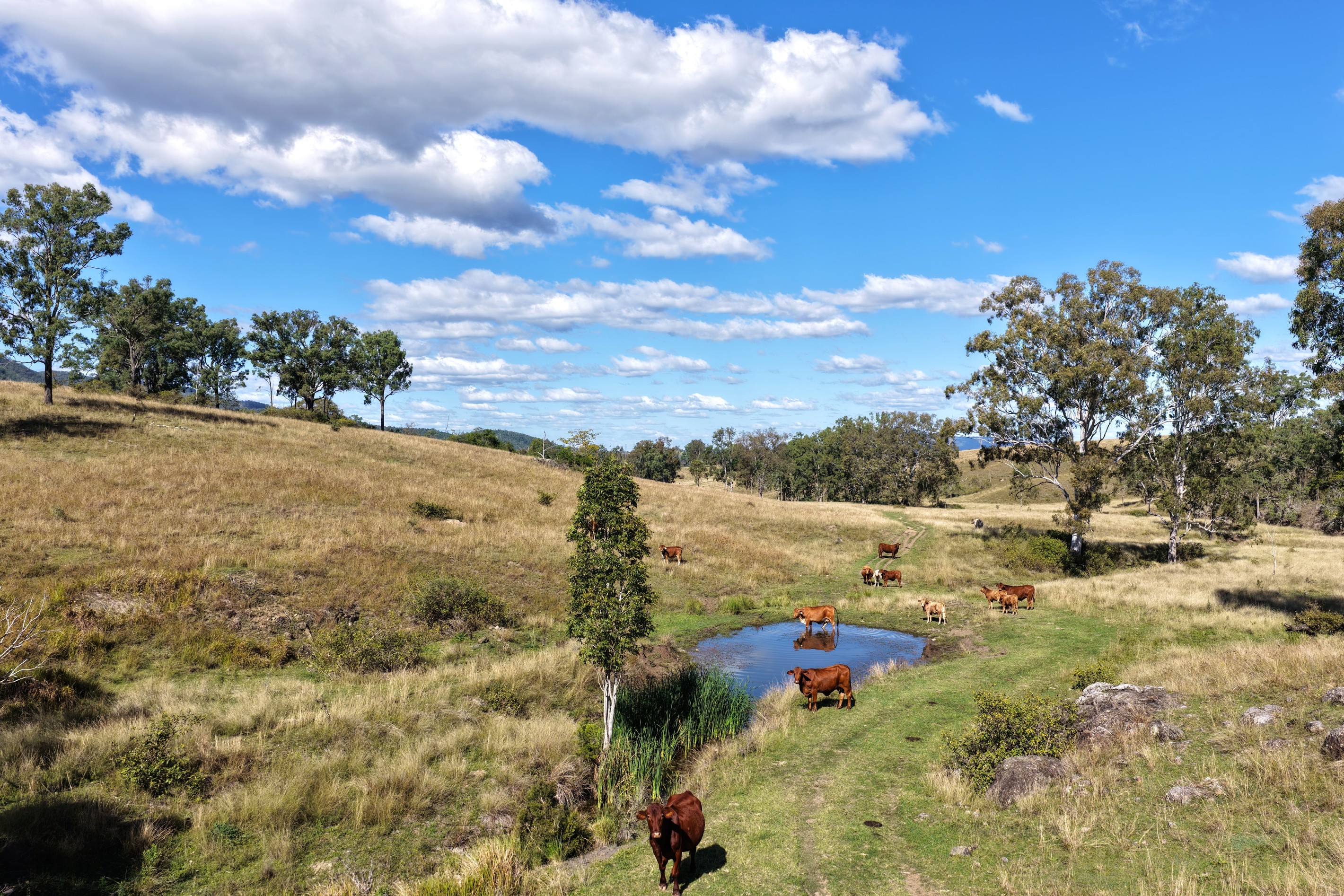 Lower Cressbrook, QLD 4313