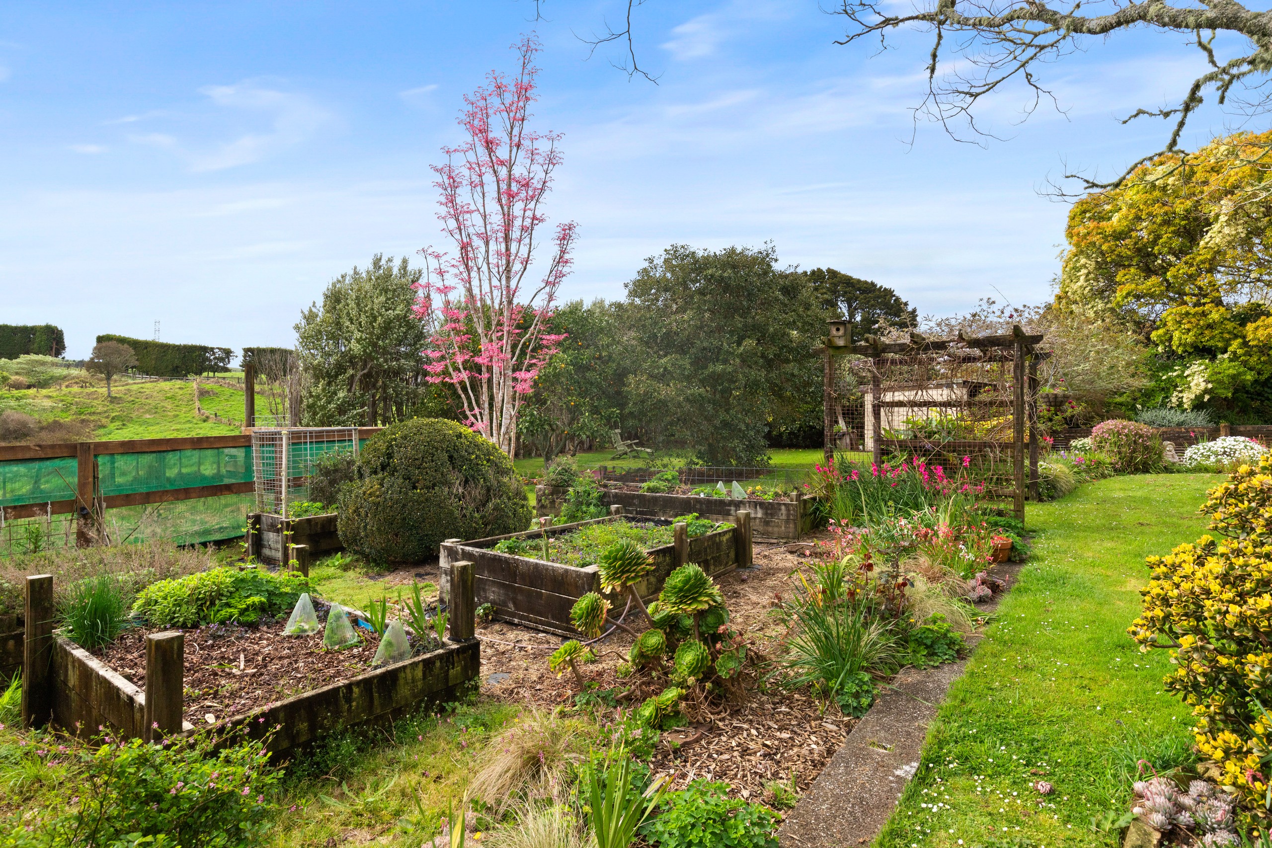 221 Razorback Road, Bombay, Franklin