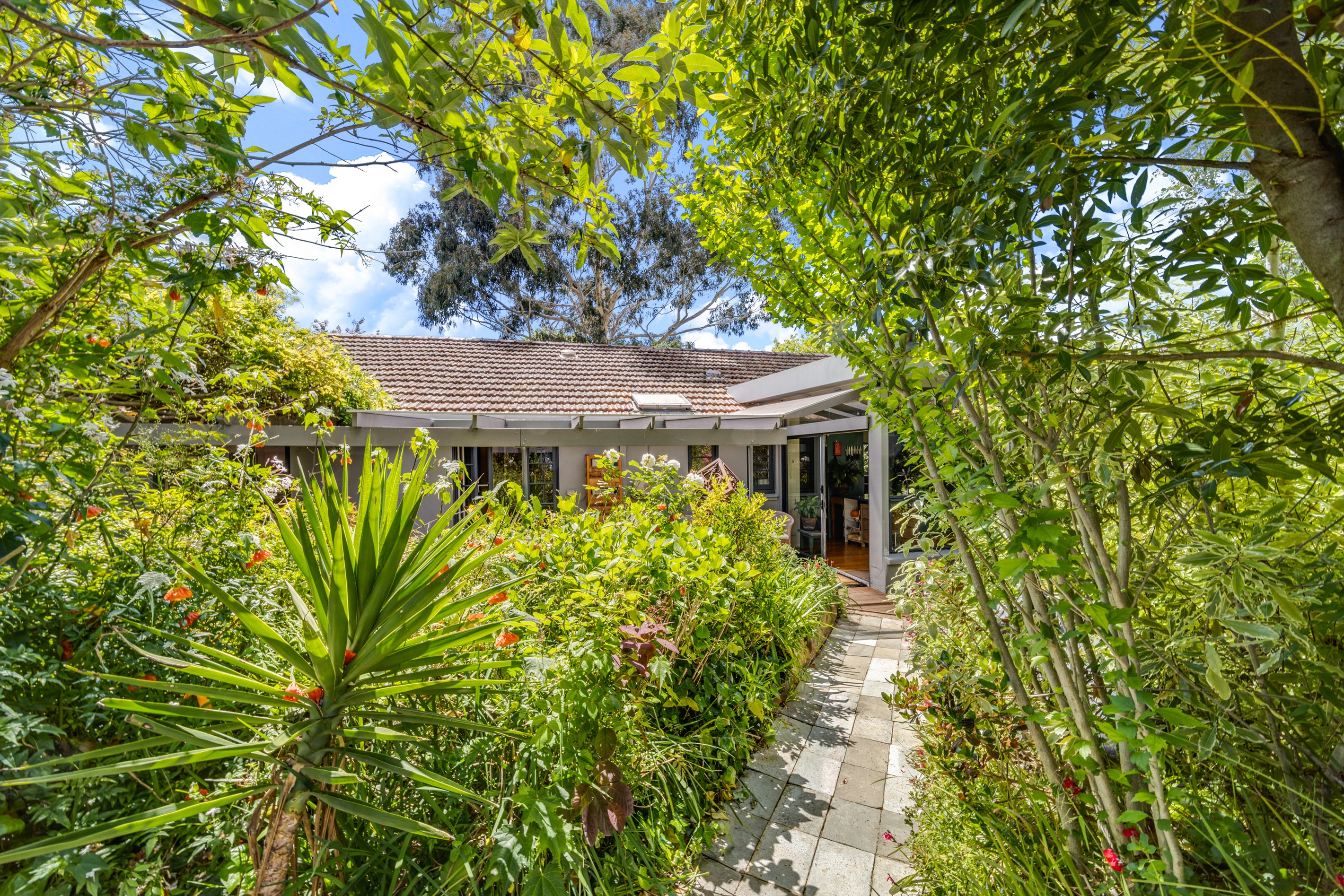 88A Boldrewood Street, Turner, ACT 2612