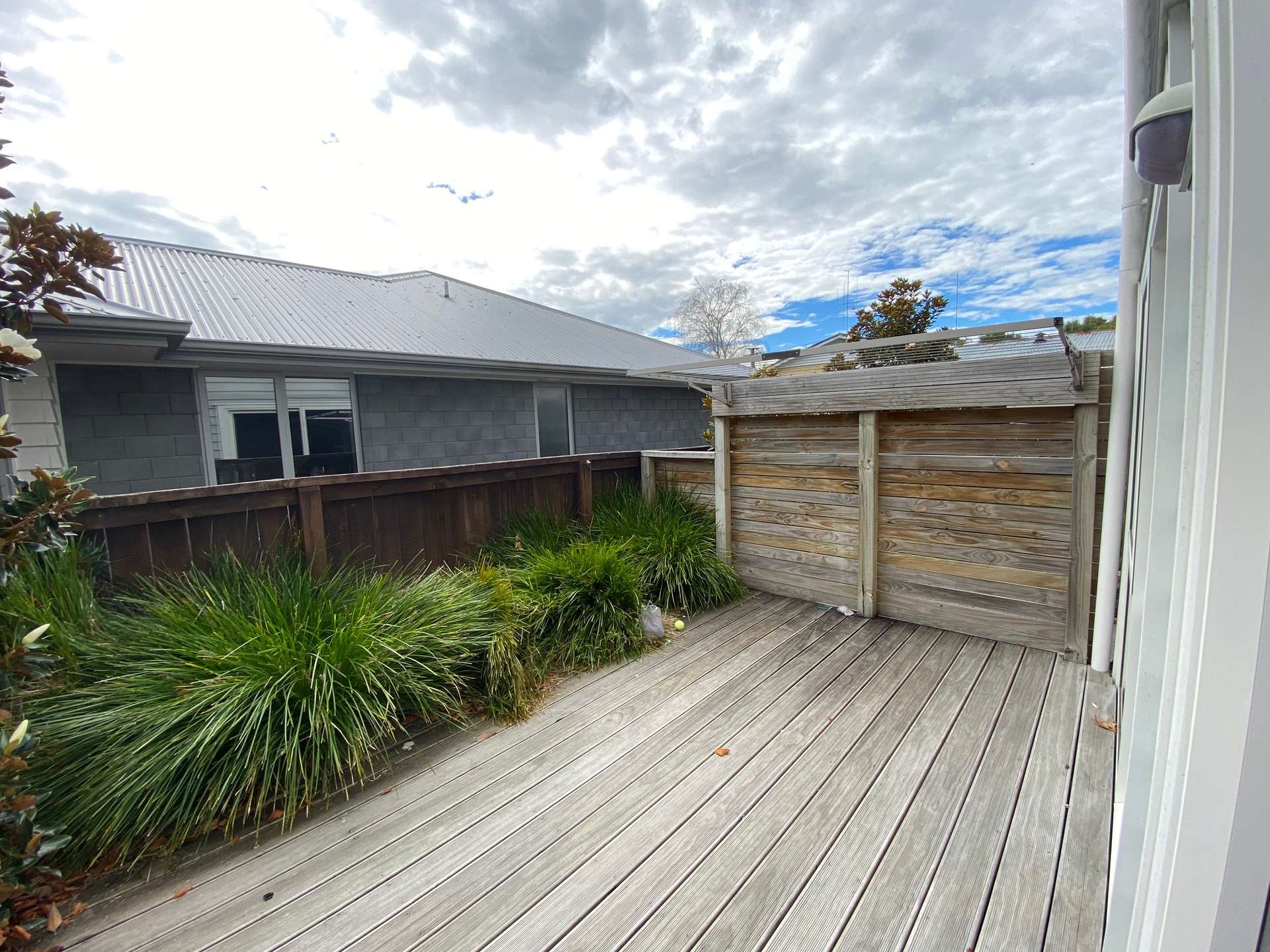 4/5 Rm A Edgecumbe Street photo 6