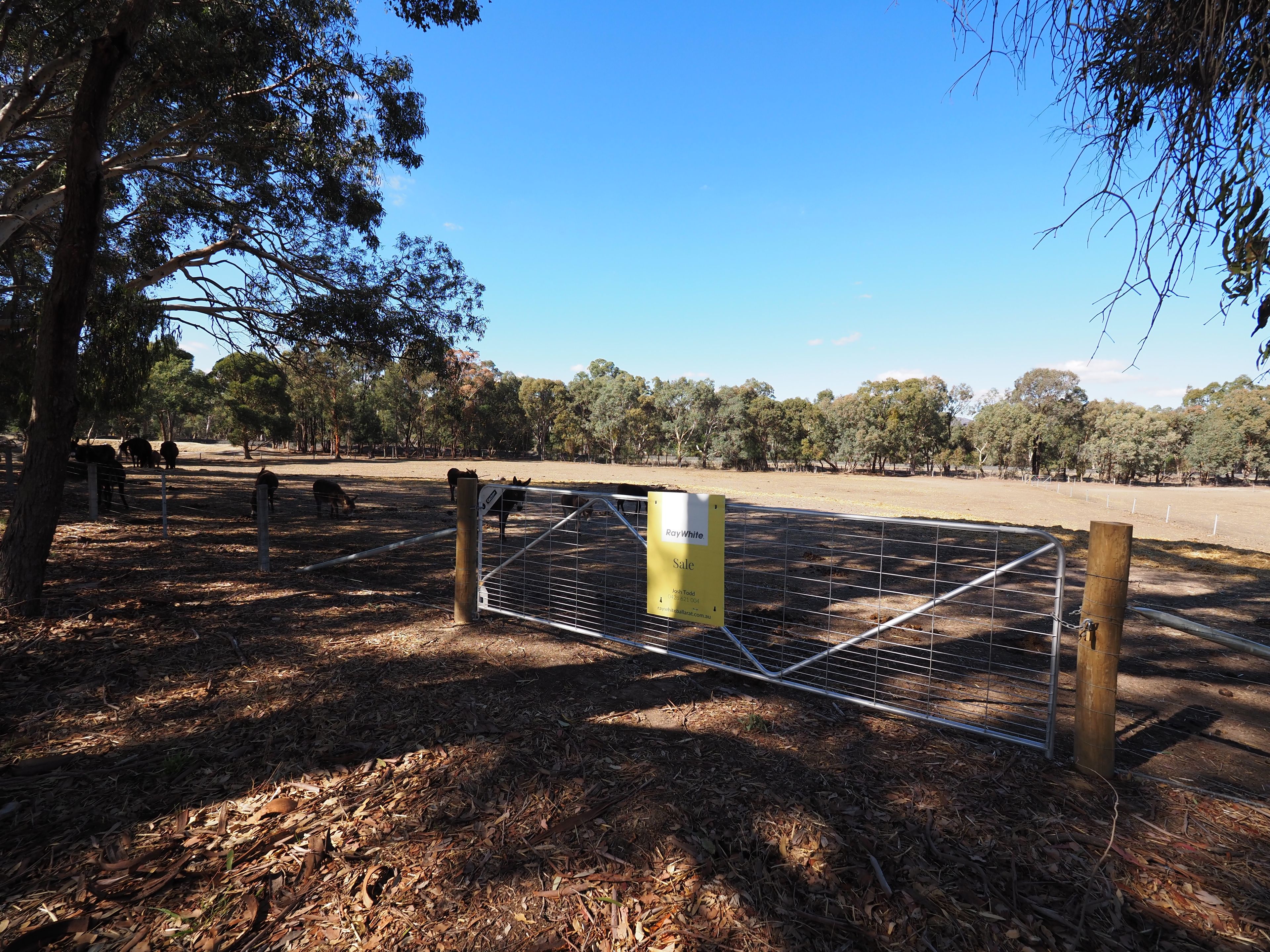 Amphitheatre, VIC 3468