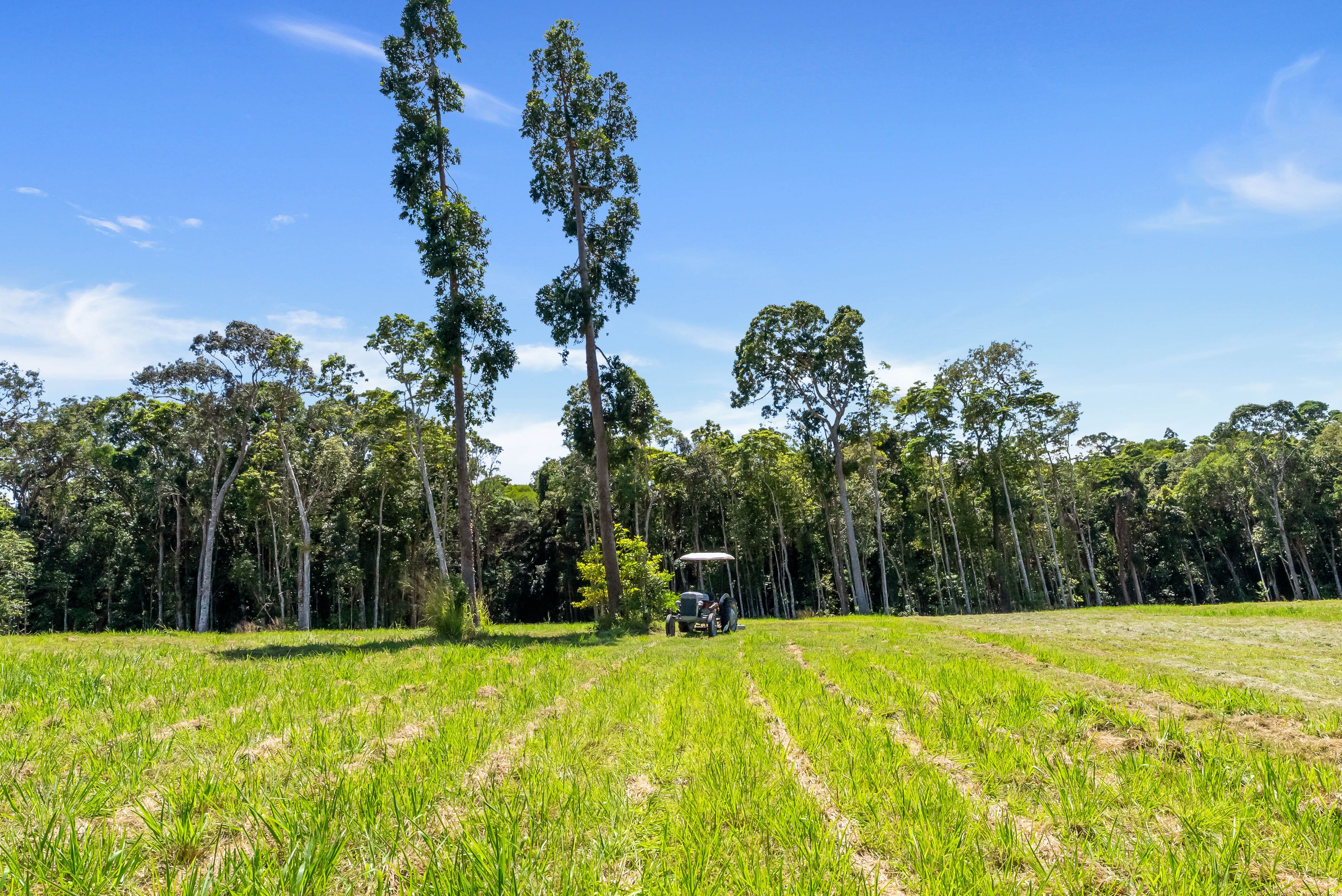 Lot 62 Ganyan Drive, Speewah, QLD 4881