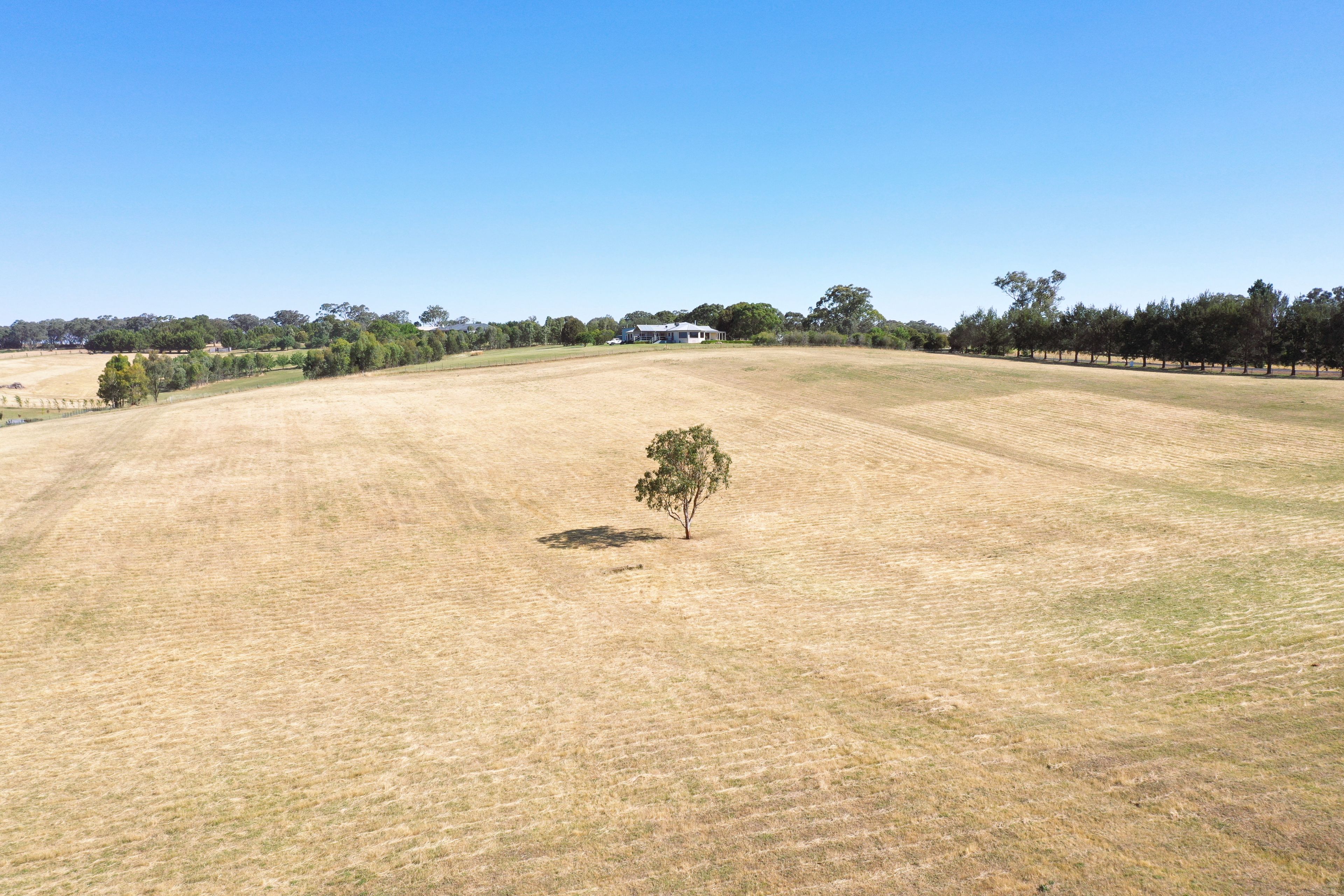 Proposed Lots 2-10 423 Back Creek Road — photo 9 of 21