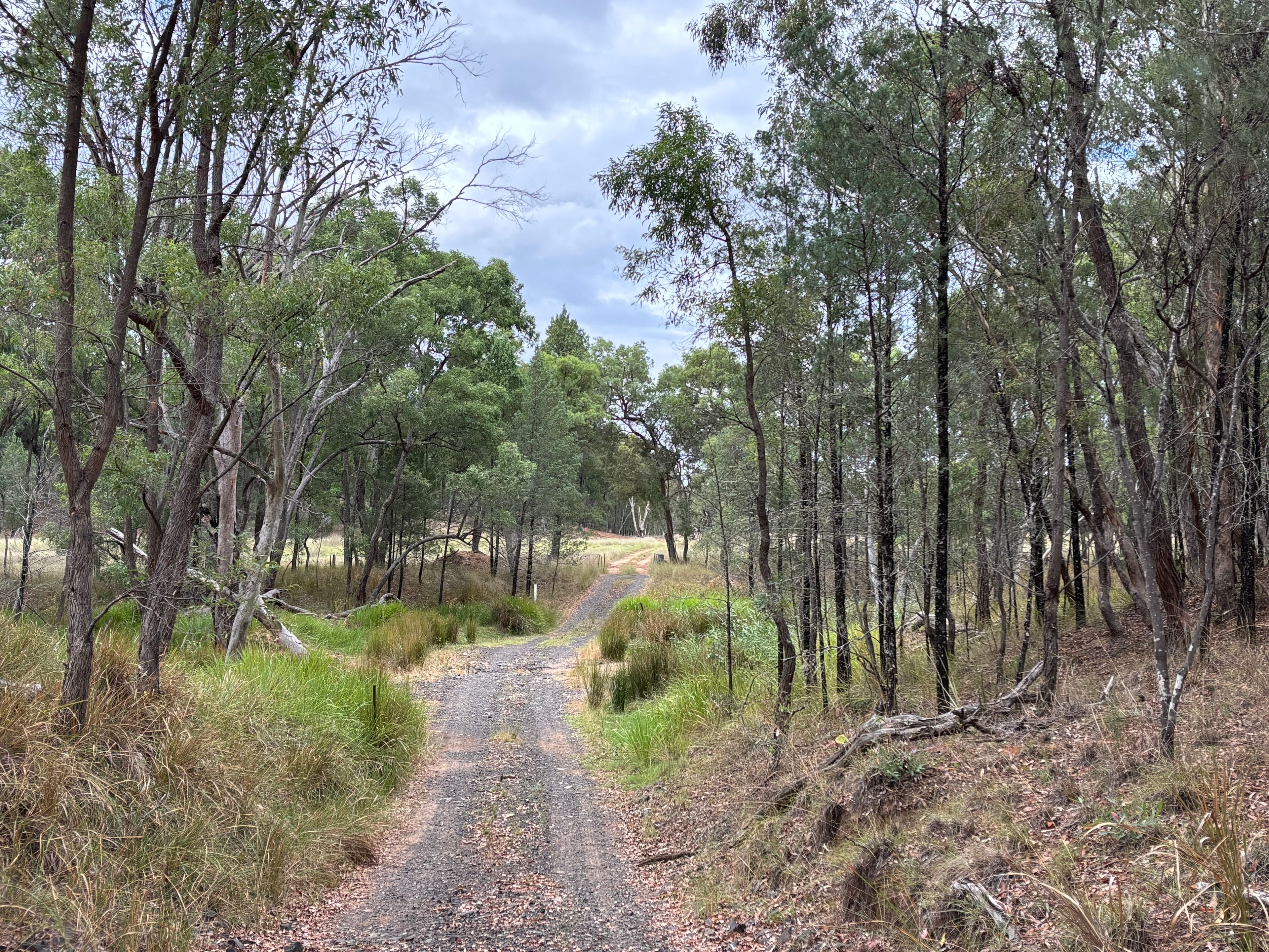2875 Newell Highway, Rocky Glen, NSW 2357