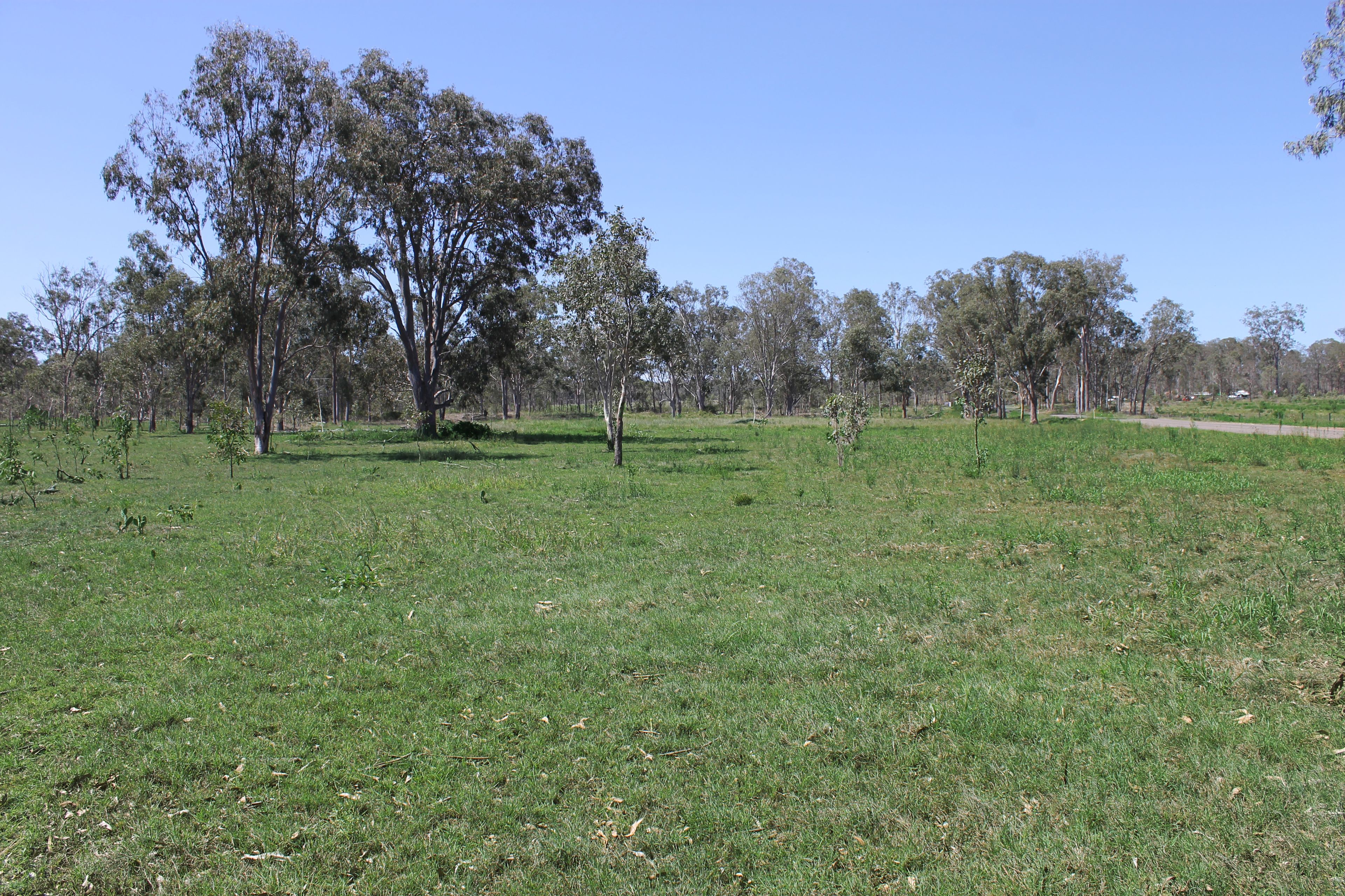 202 Banffs Lane, Coominya, QLD 4311