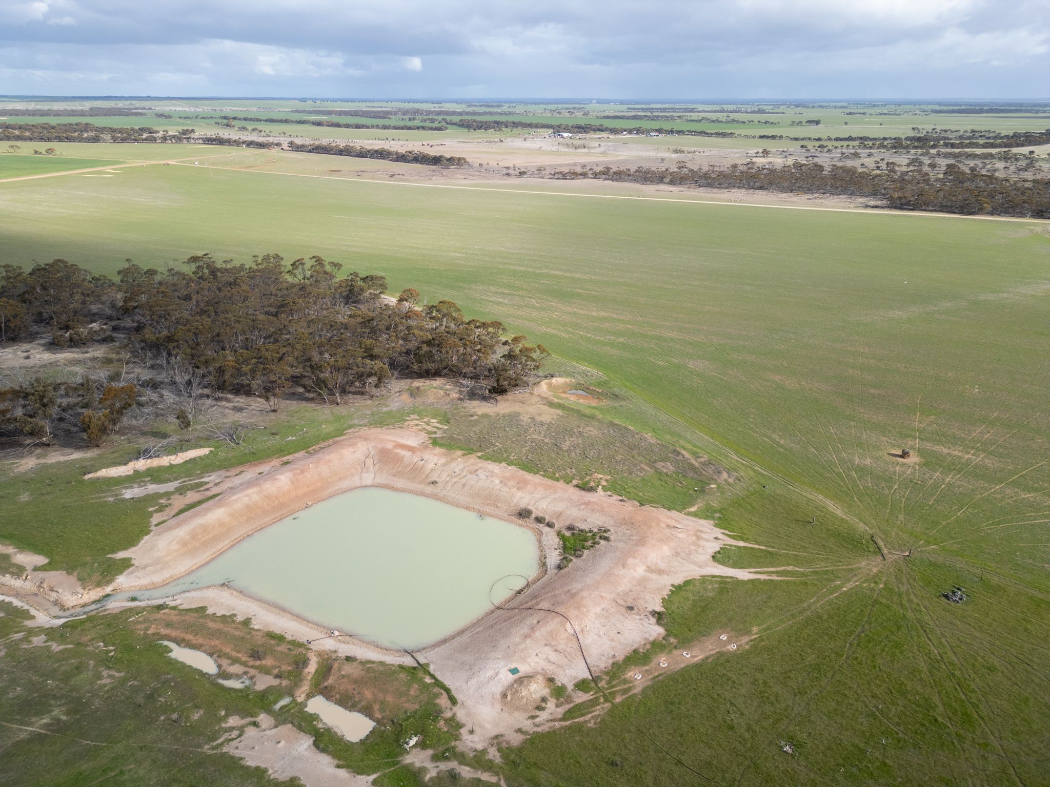409 Dixon Road, Pingrup, WA 6343 - Sold Rural Cropping Property - Ray ...
