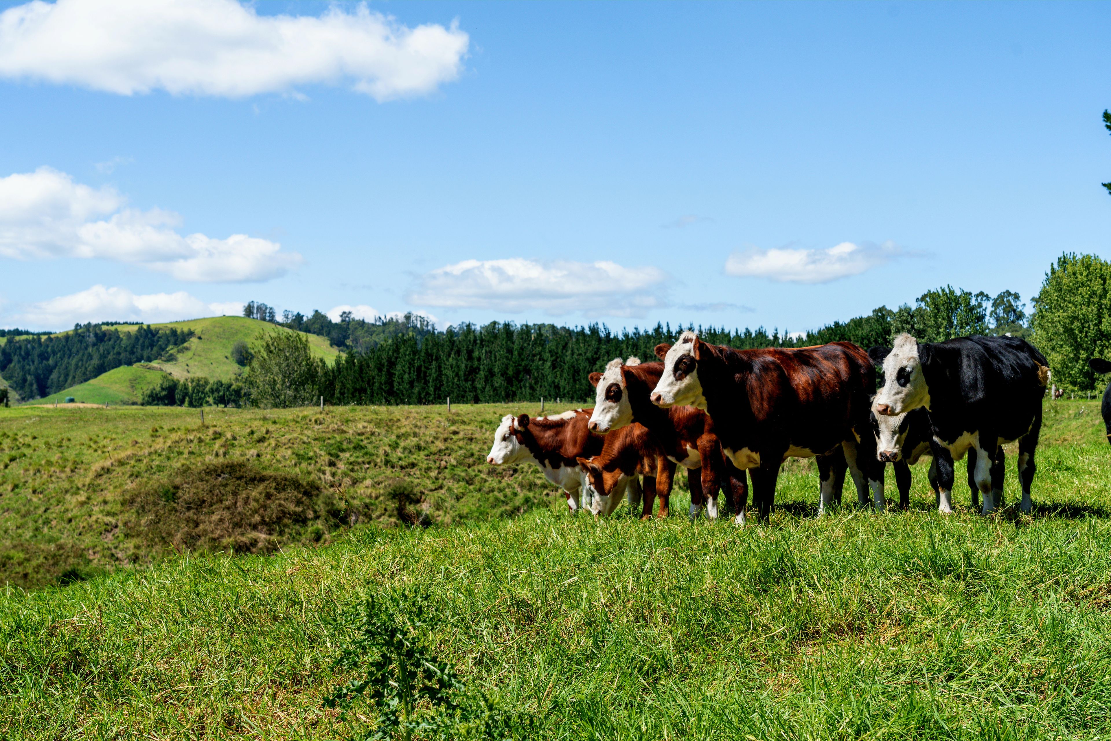 1-6/461 Otamarakau Valley Road, Pukehina, Western Bay Of Plenty District