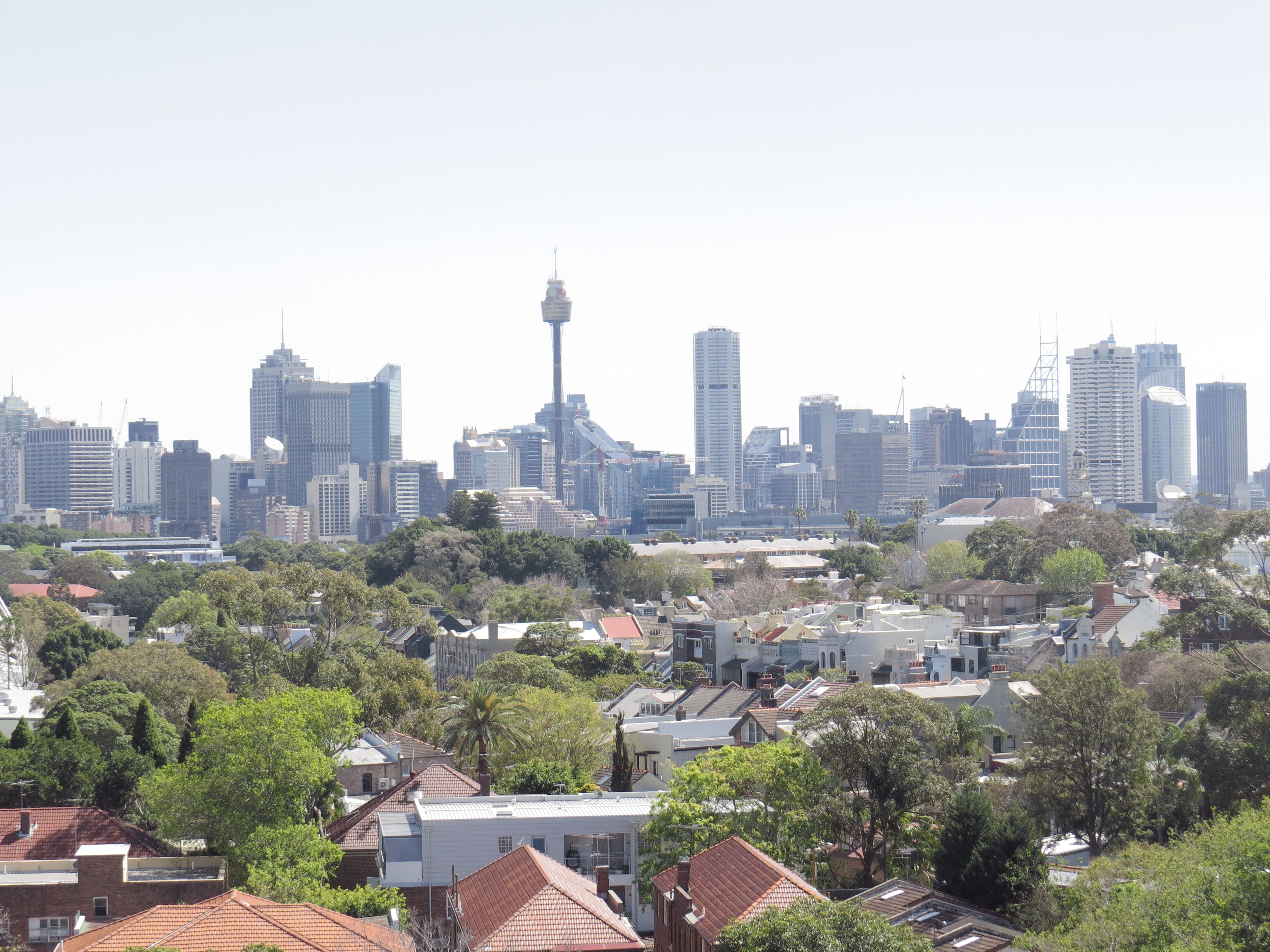 74/39-41 Cook Road, Centennial Park, NSW 2021