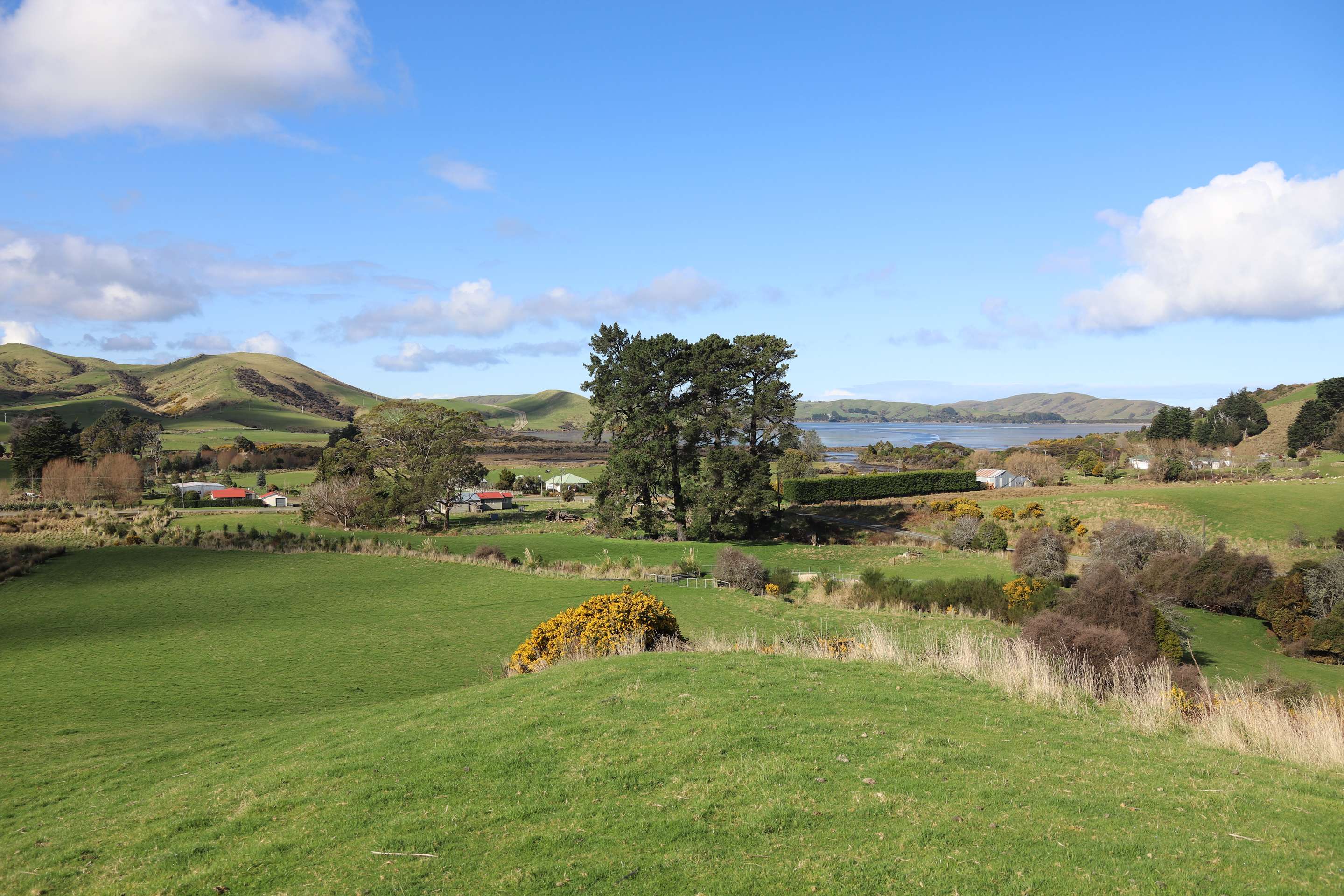 342 Niagara Waikawa Road, Waikawa Valley, Southland District Real Estate Ray White New Zealand