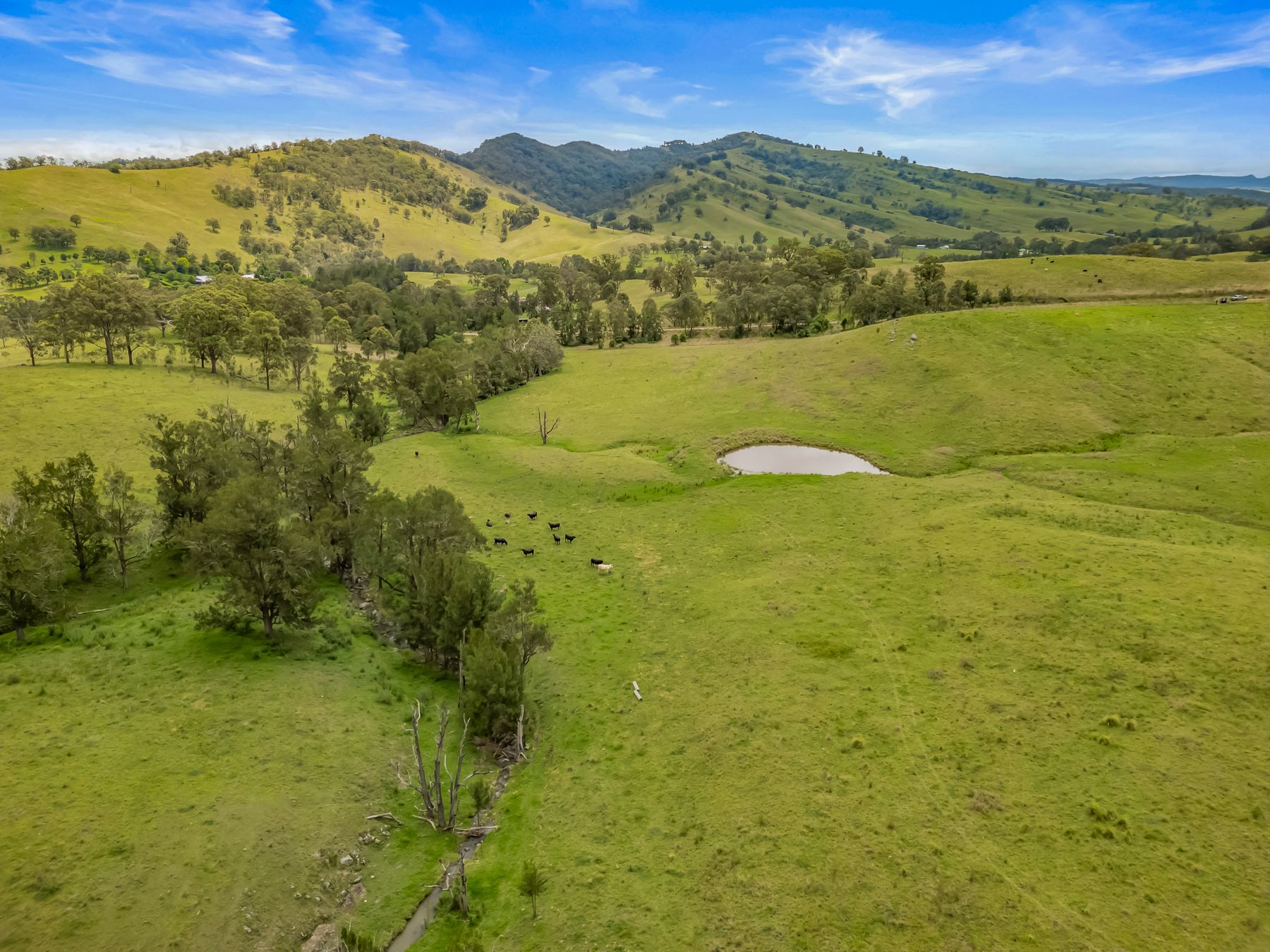 Carrowbrook Road Mount Olive — photo 9 of 15