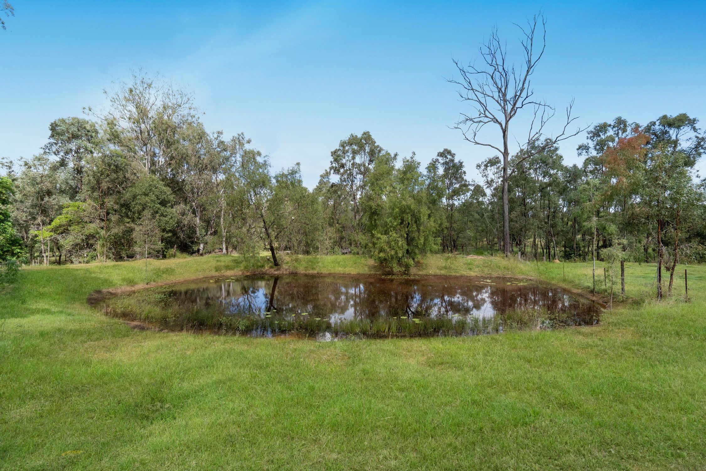 29 Blenheim Road, Laidley Creek West, QLD 4341