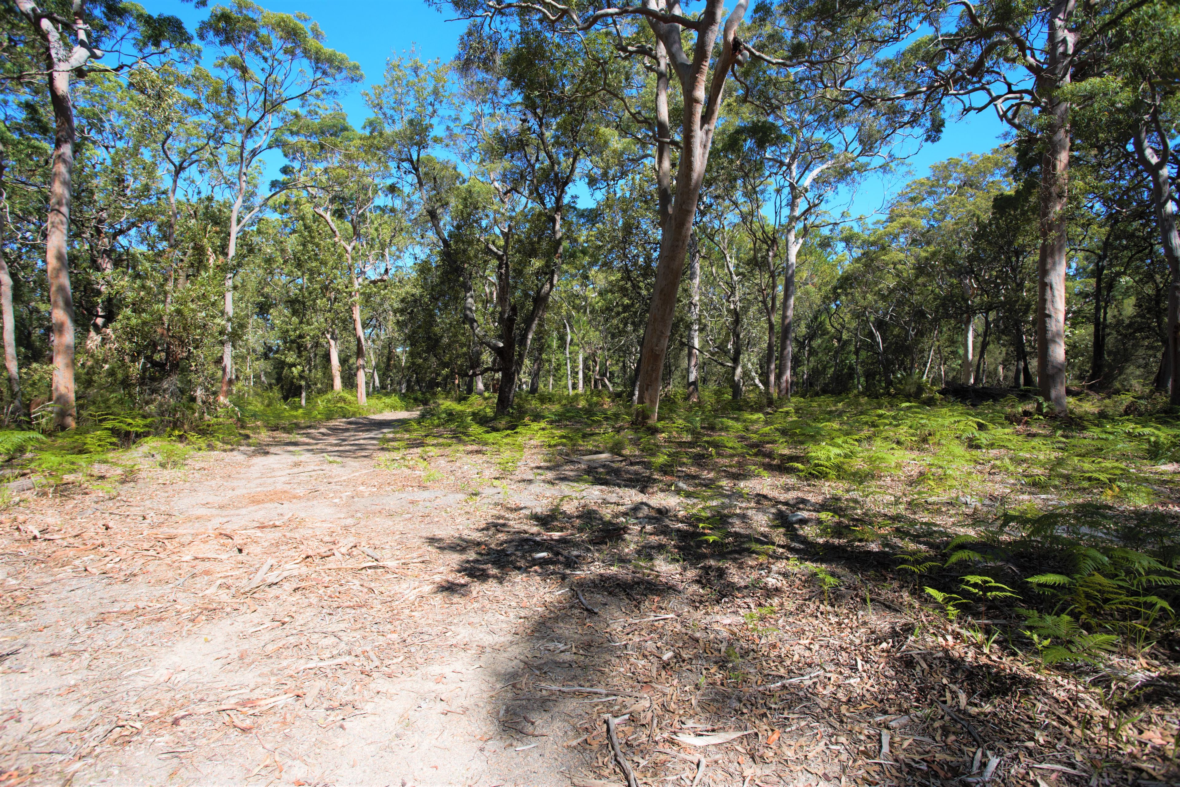 12/129 Koree Street, Pindimar, NSW 2324 Rural Lifestyle Property for