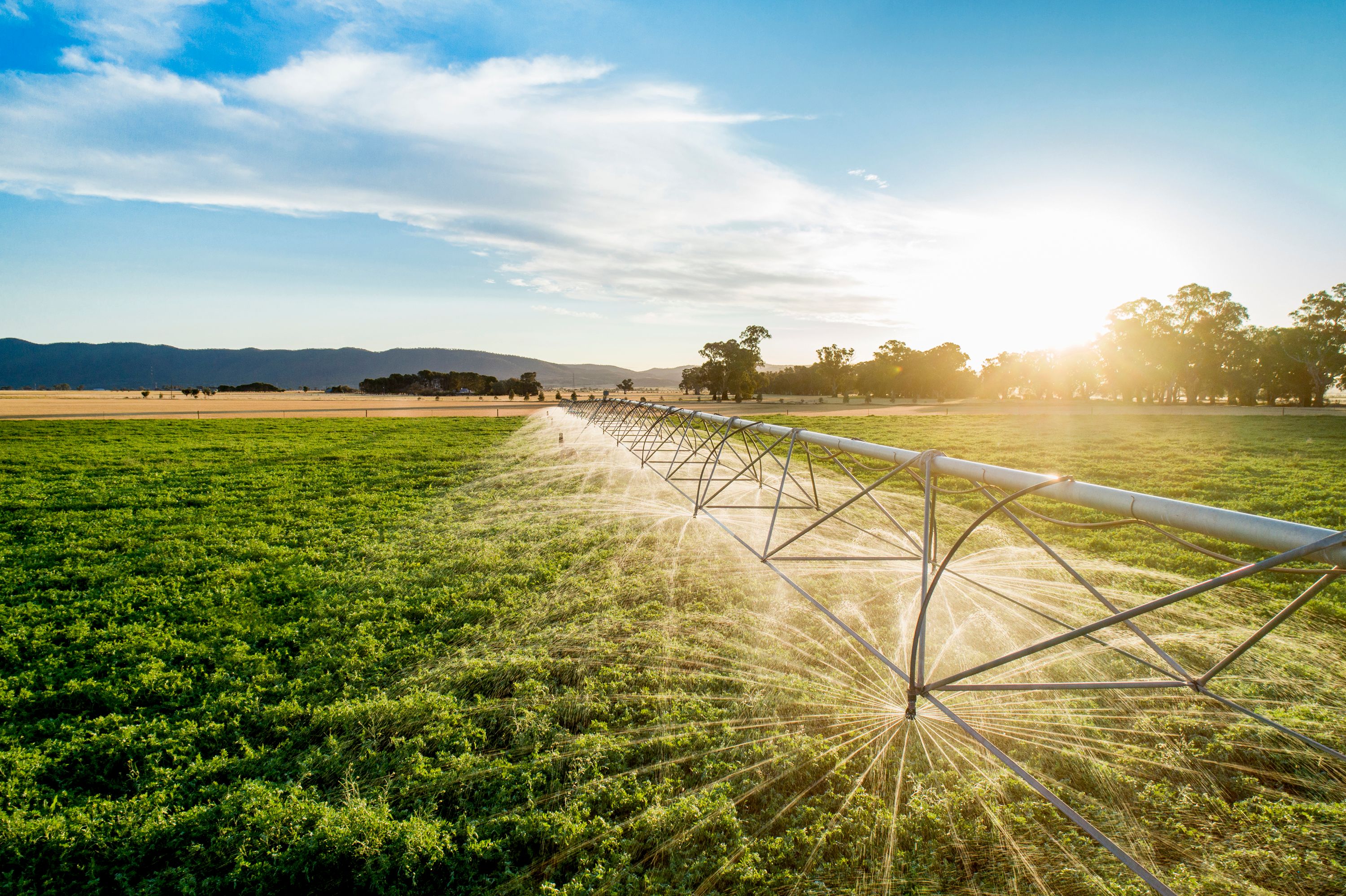 Underground Water Allocation — photo from Ray White Rural Toowoomba