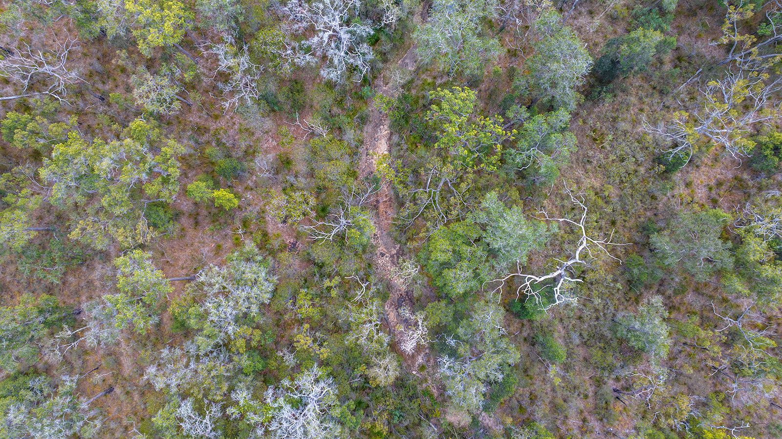 Lot 21 Baldaw Road — photo 6 of 13