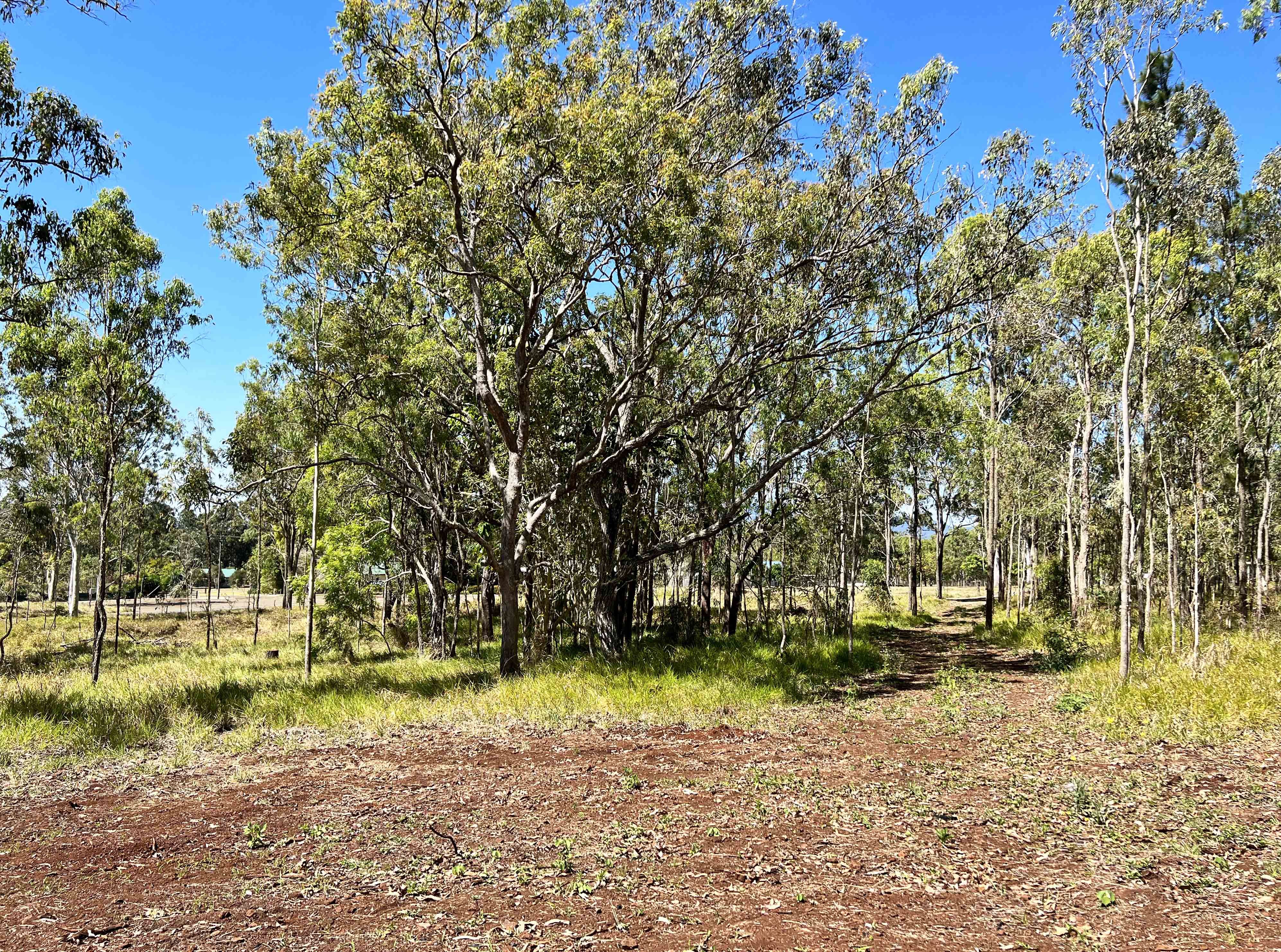 Tolga, QLD 4882 Sold Land Ray White Rural Atherton