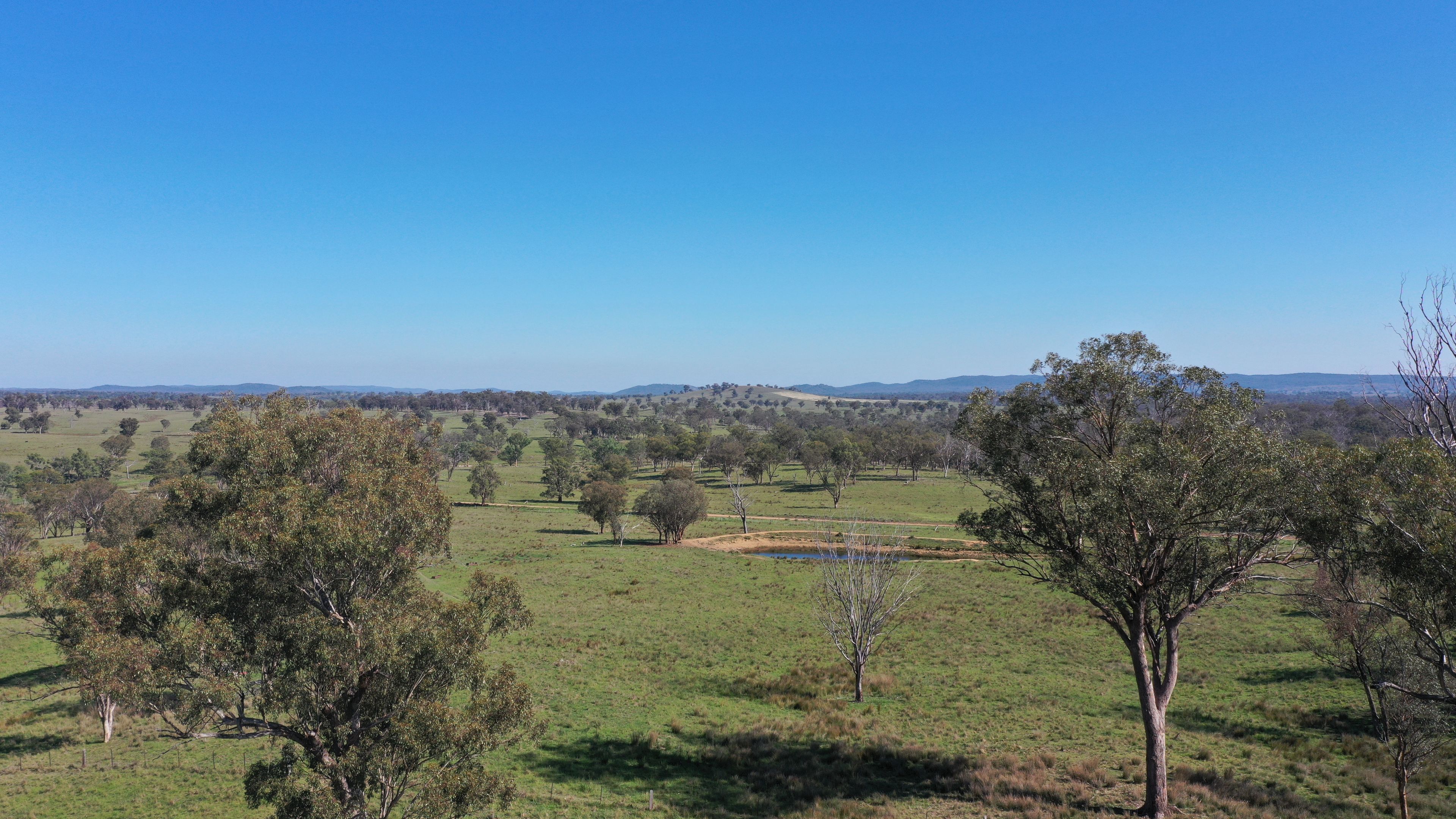 216 Mt Drummond Road, Bundarra, NSW 2359 Sold Rural Property Ray