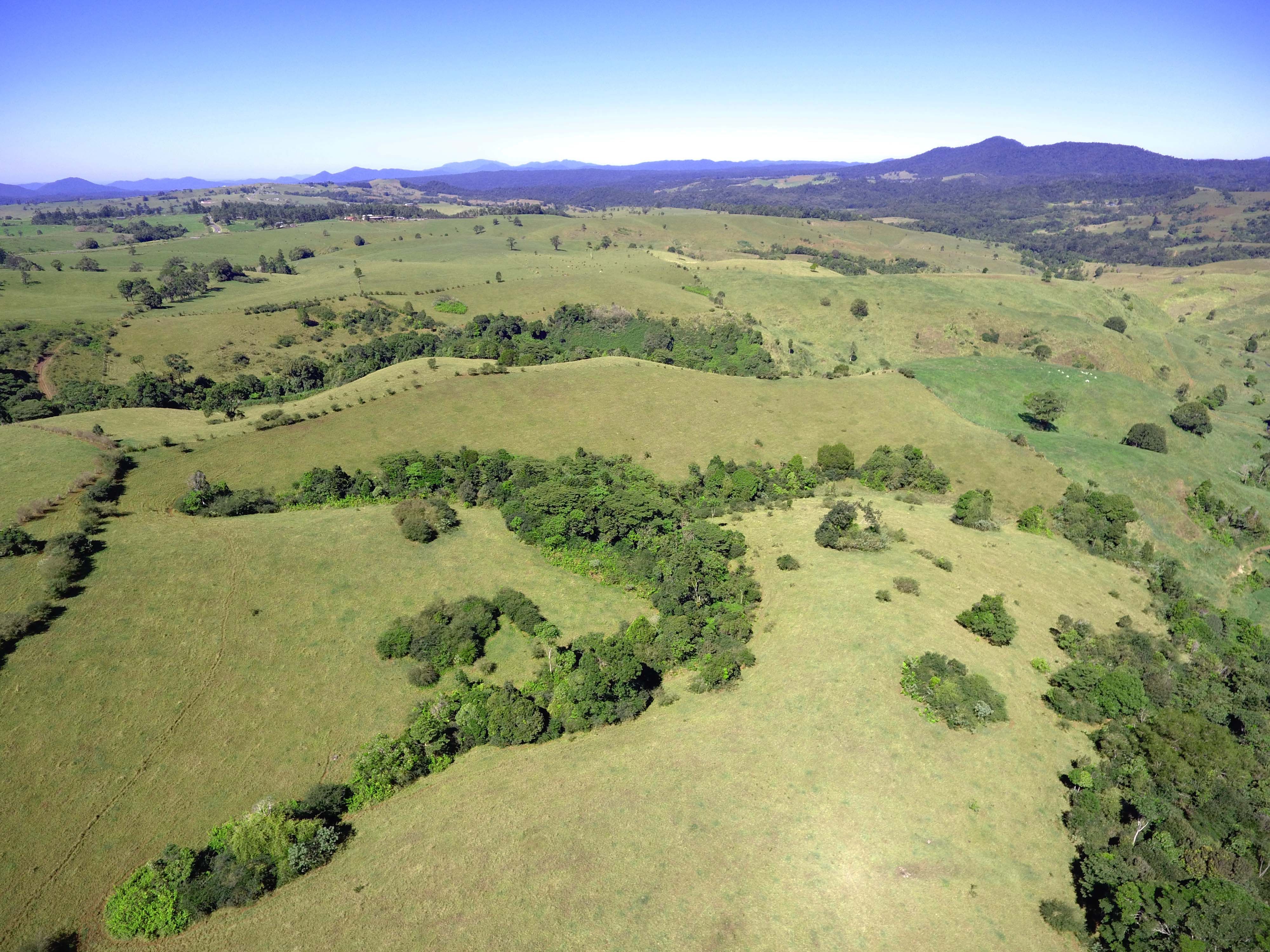 ROLLING GREEN HILLS — photo 8 of 8