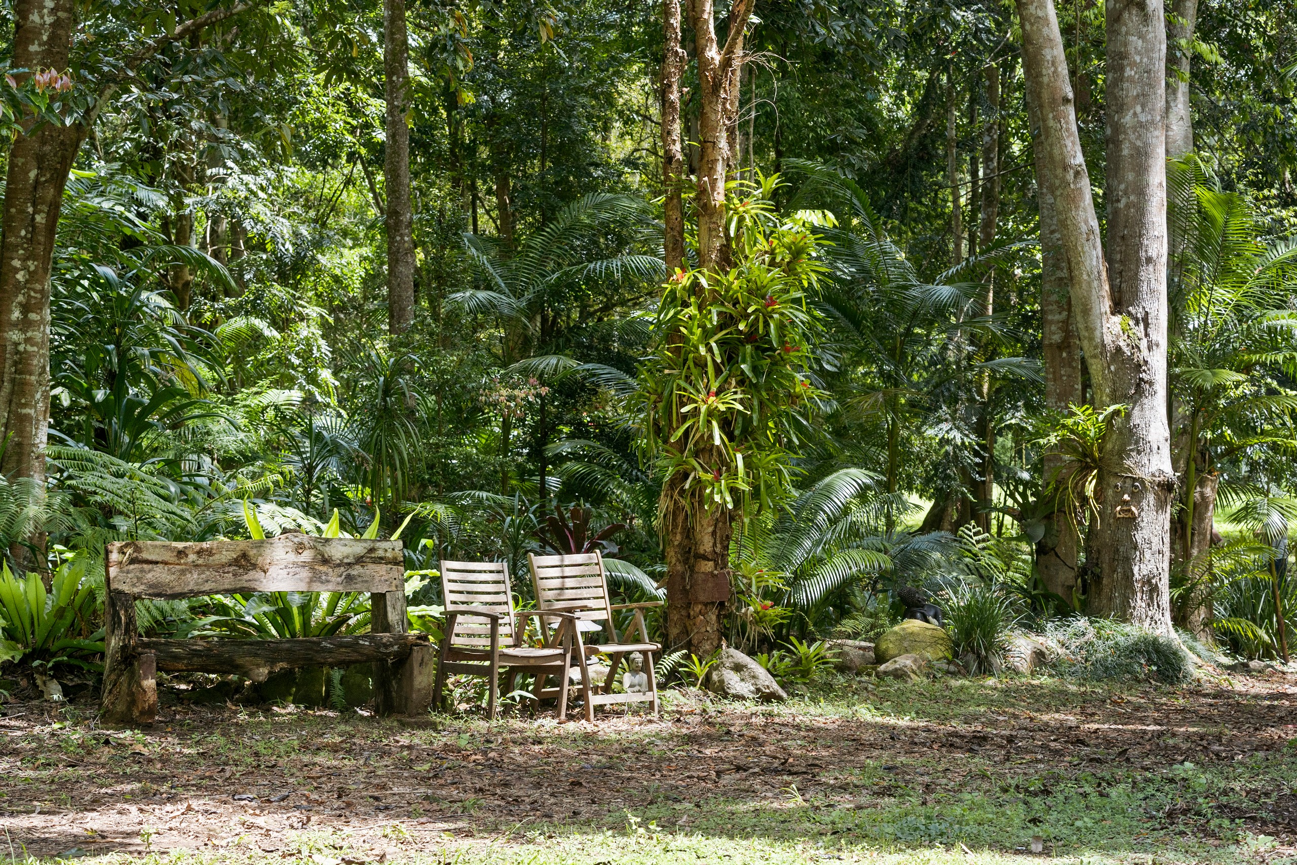 2038 Numinbah Road, Numinbah, Numinbah, NSW 2484