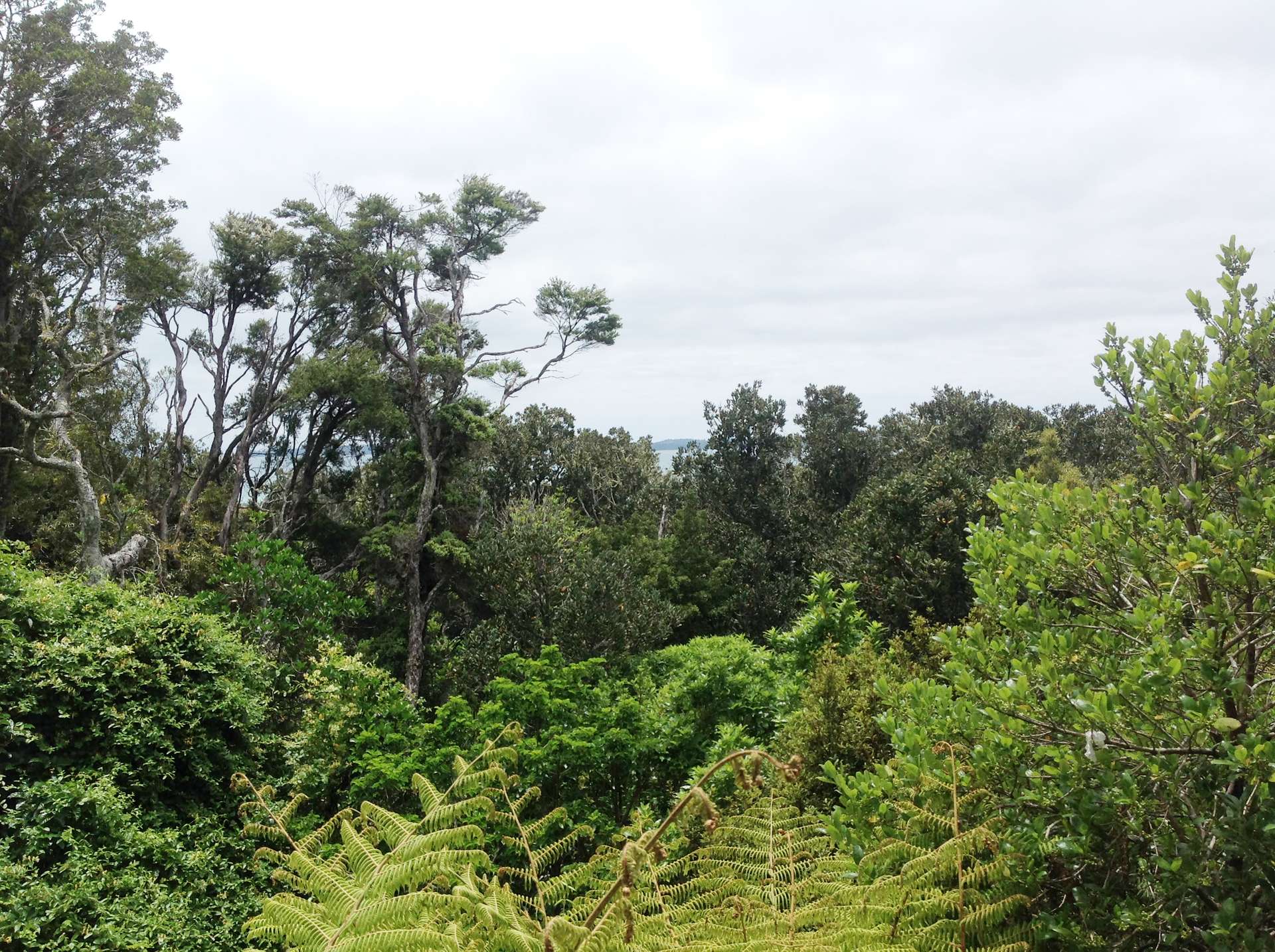 Maraetai  Manukau City  2018 photo 8