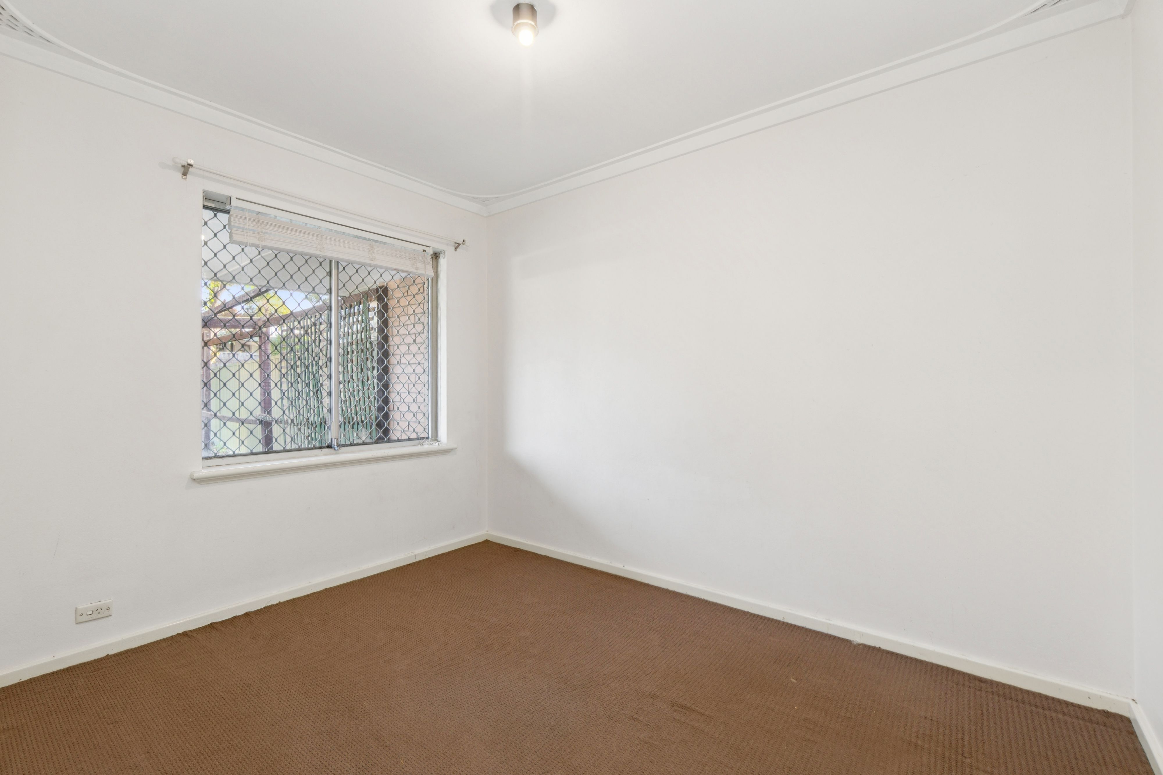 23 Mckay Street — photo 11 of 19