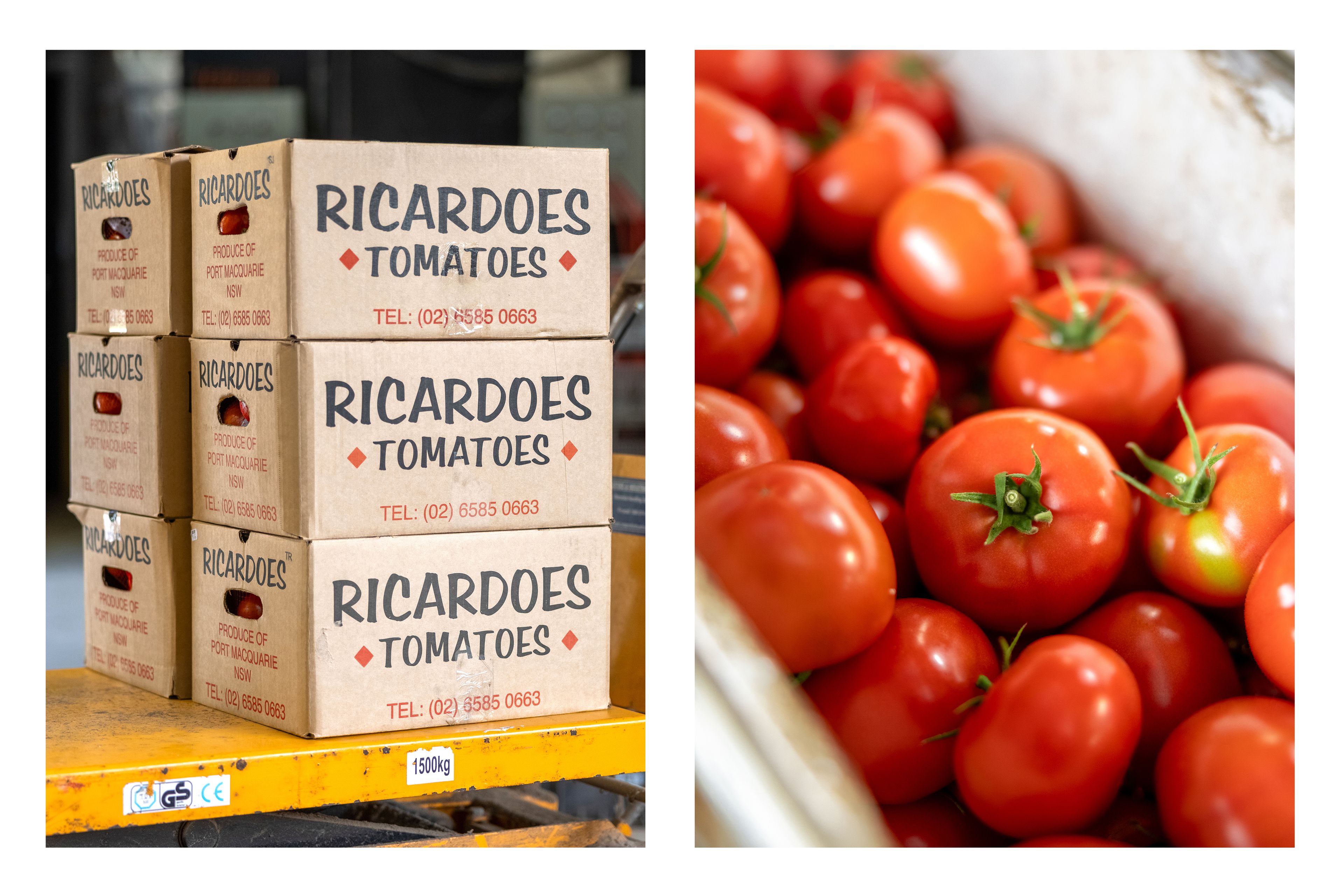 'Ricardoes Tomatoes' 221 Blackmans Point Road — photo 14 of 26