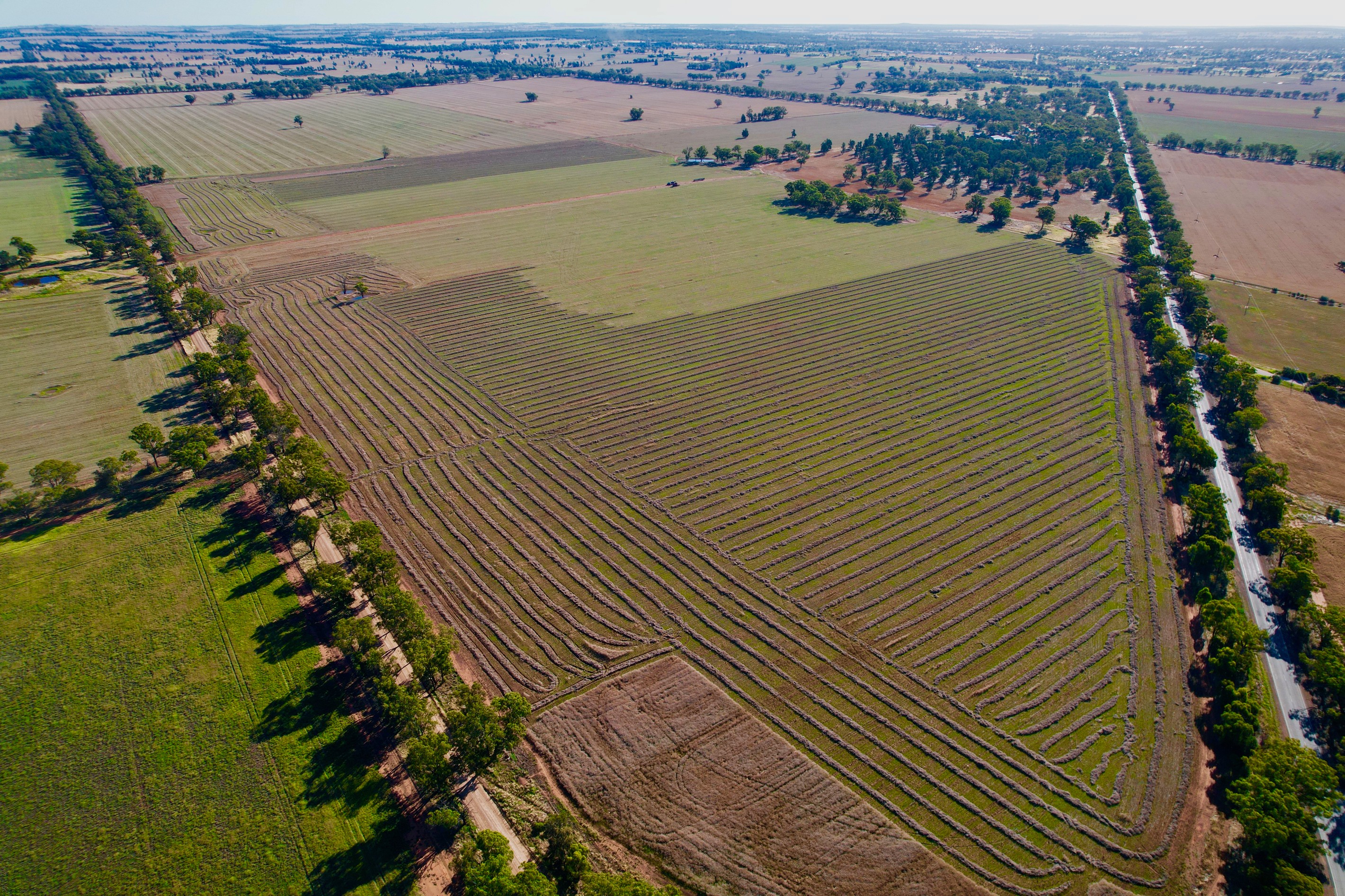 744 Milvale Road, Temora, NSW 2666