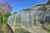 64 Ardwick Street photo 42