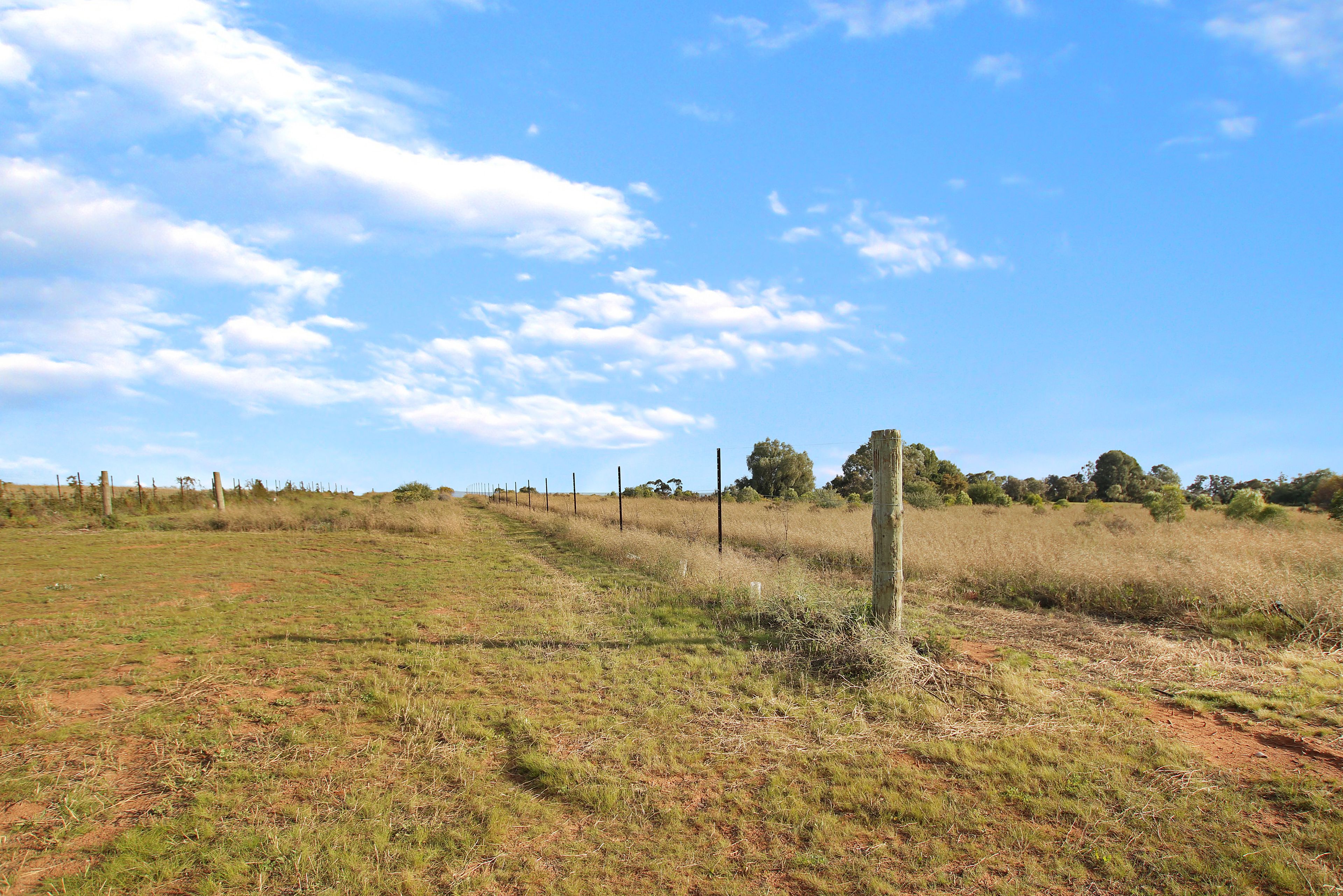 89 Playford Road — photo 7 of 11
