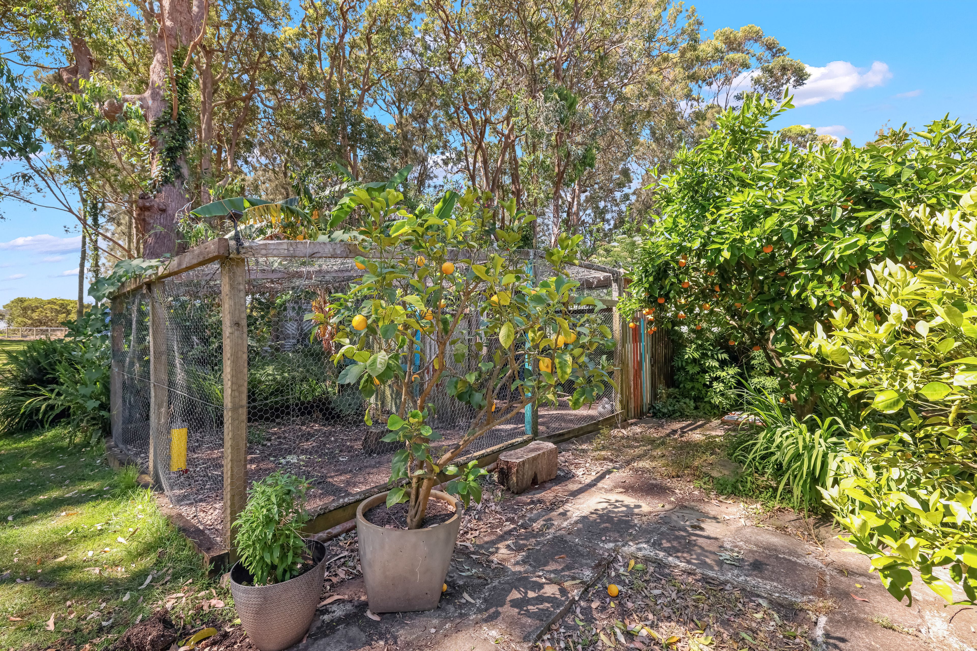 3 Brighton Parade, Culburra Beach, NSW