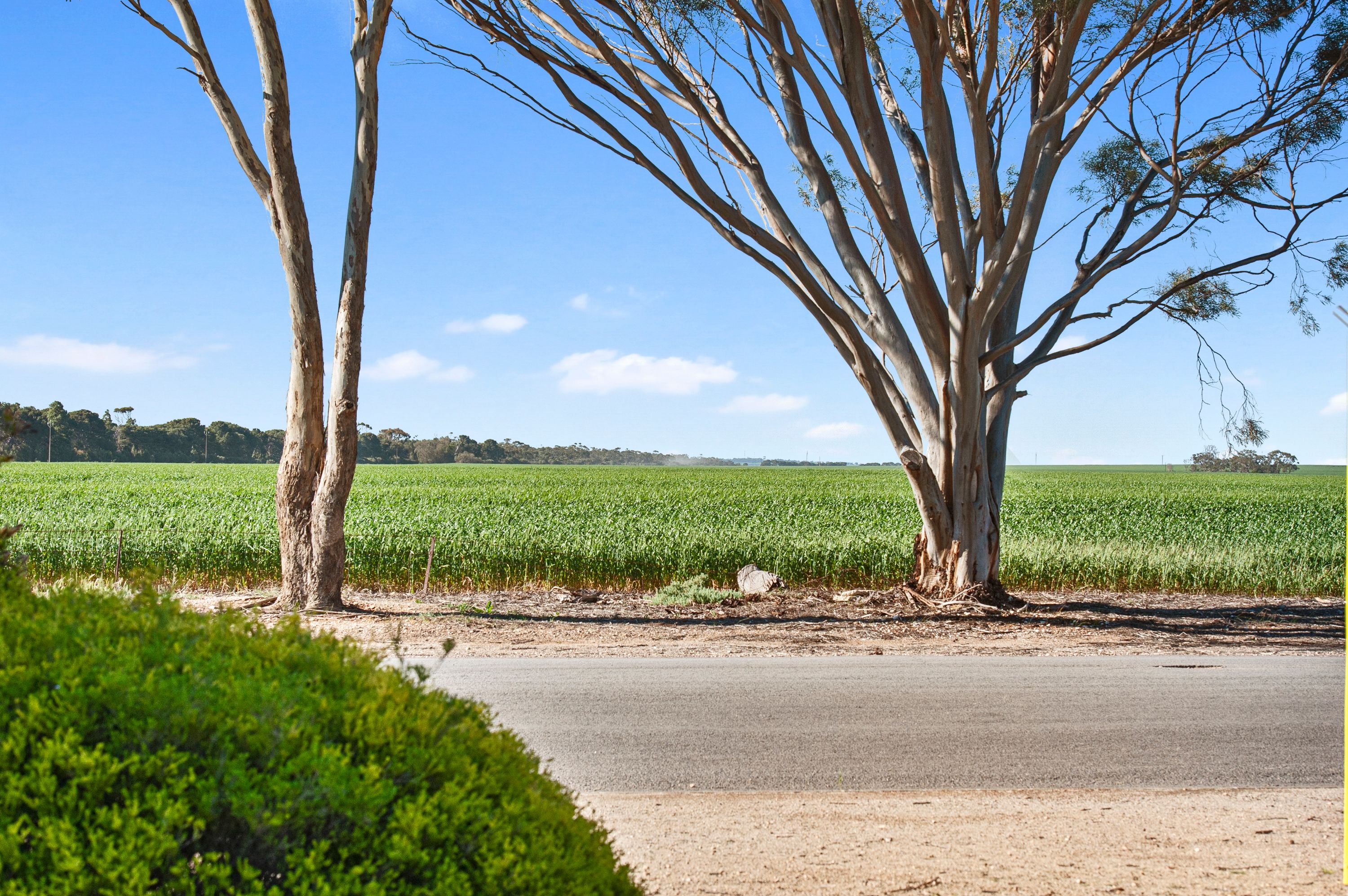 17 North Terrace, Maitland, SA 5573