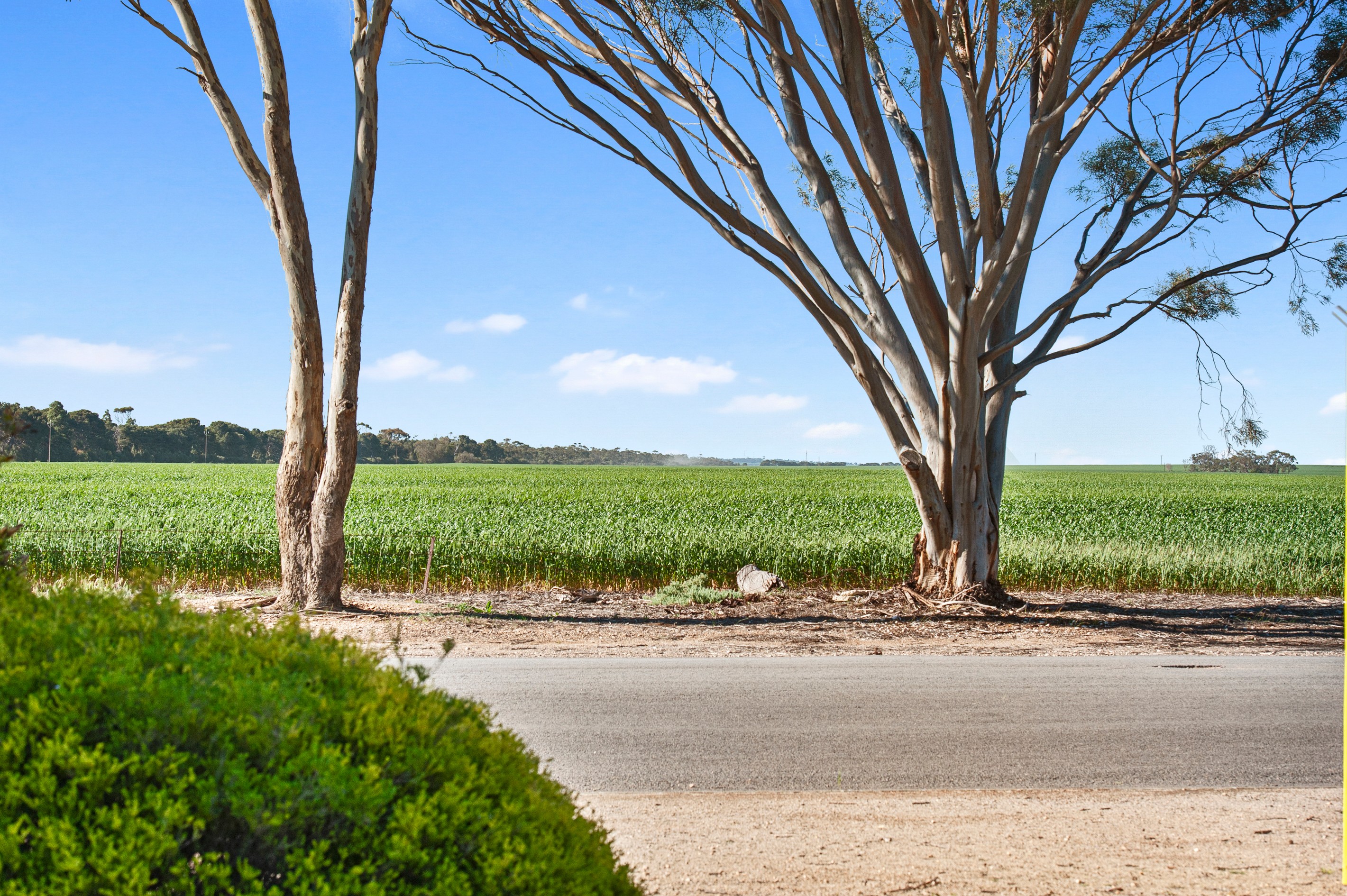 17 North Terrace, Maitland, SA 5573