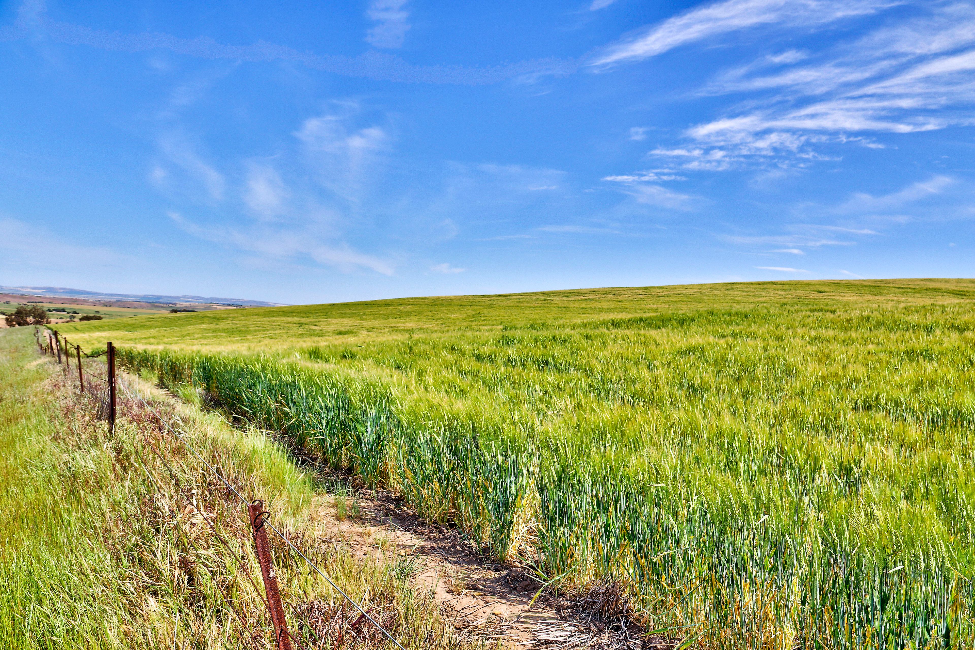"Twin Valleys" Yacka-Andrews Road, Yacka SA 5470