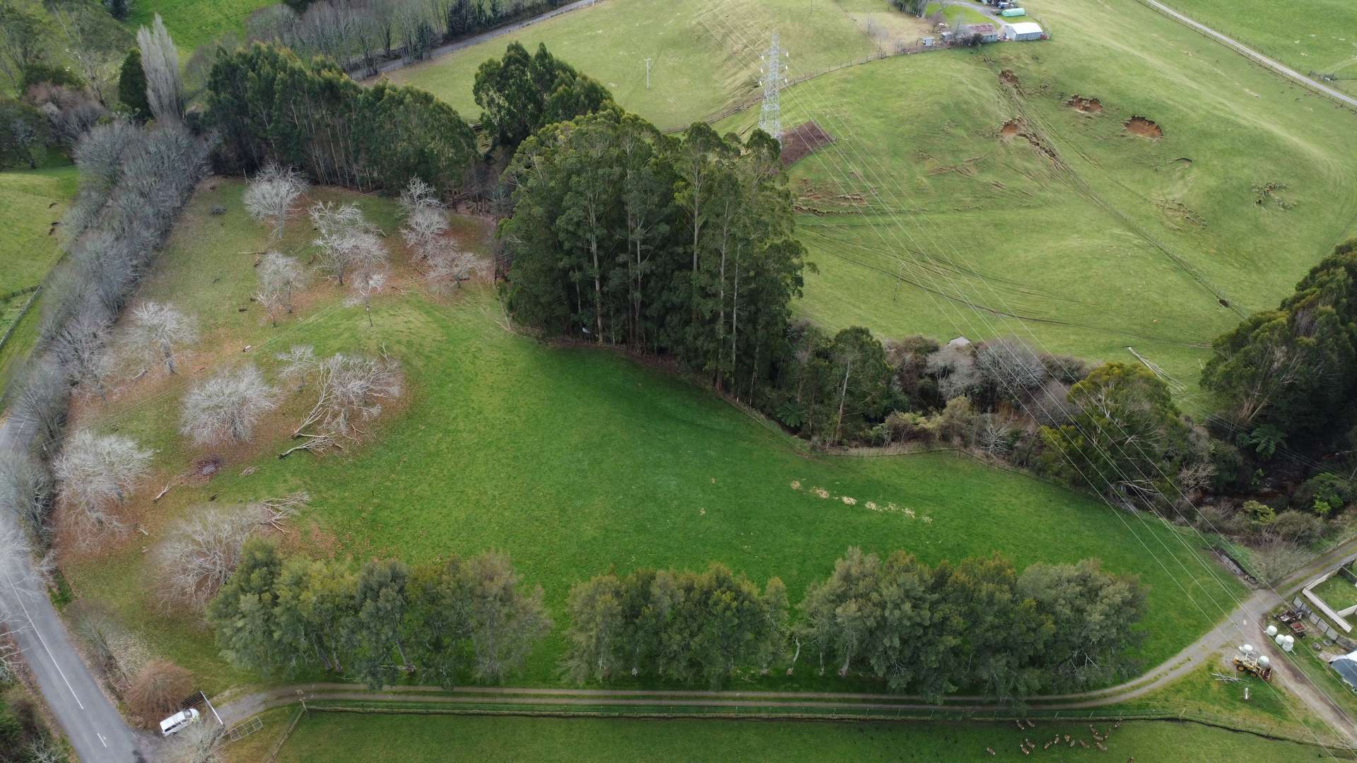 Ngongotaha Valley  Rotorua District  3015 photo 2