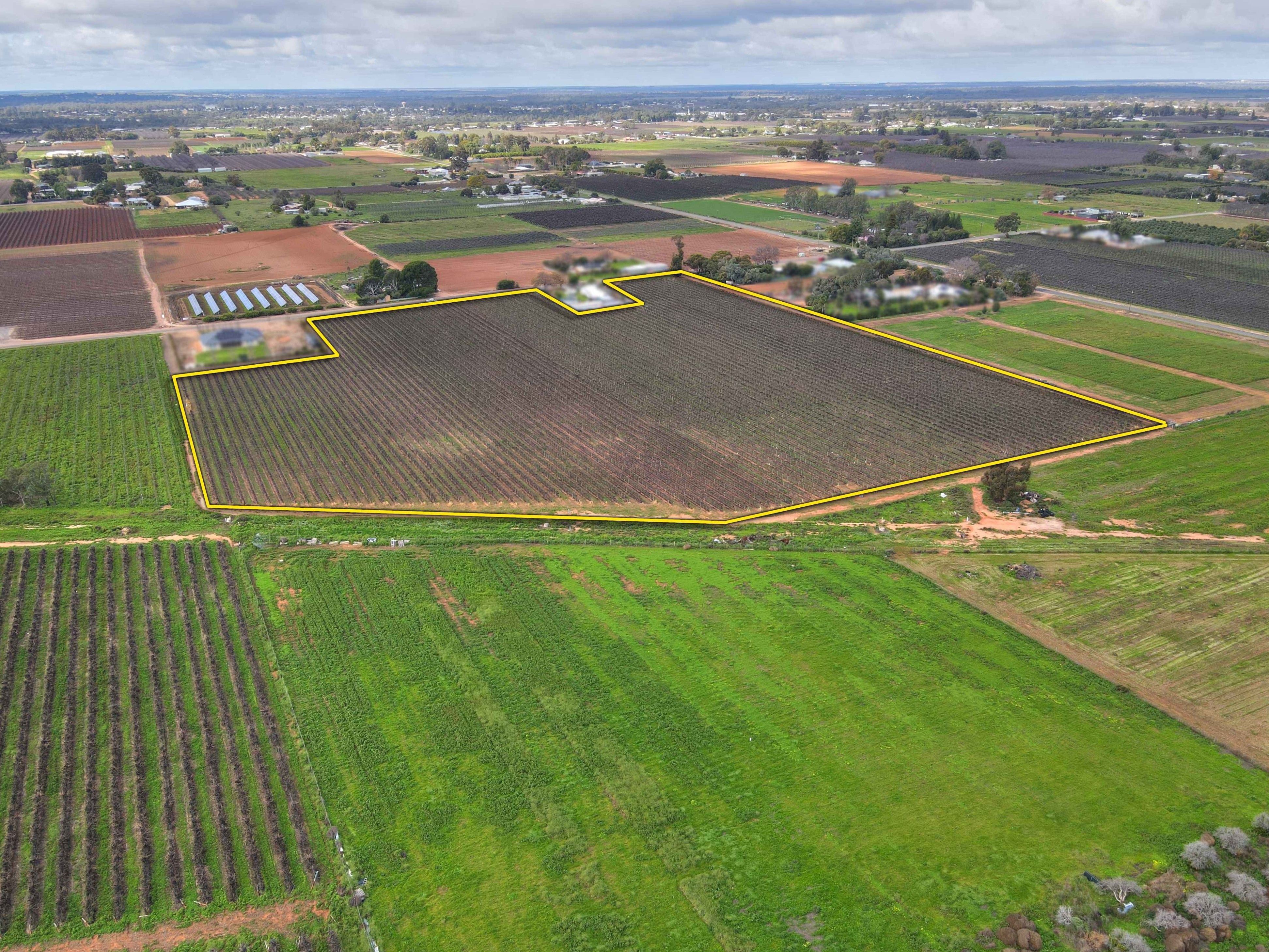 Lot 50 Chowilla Street — photo 3 of 4