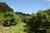 5126 State Highway one photo 15