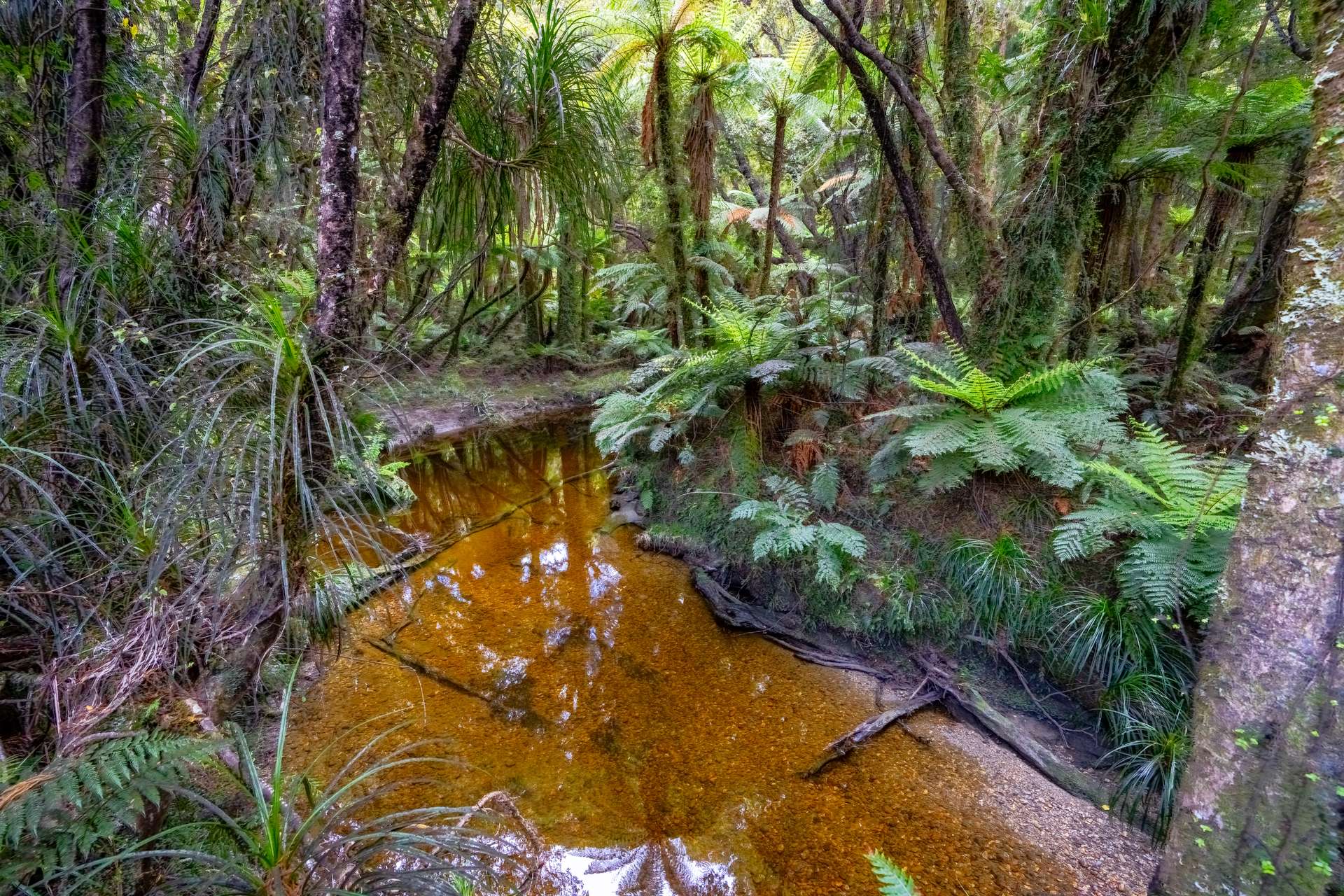 0 Arawata, Jackson Bay photo 12