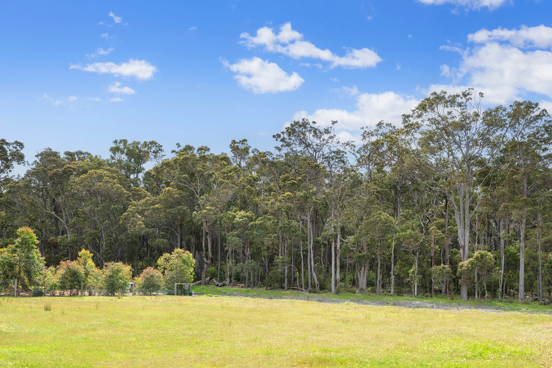 8 McDermott Parade, Witchcliffe, WA 6286