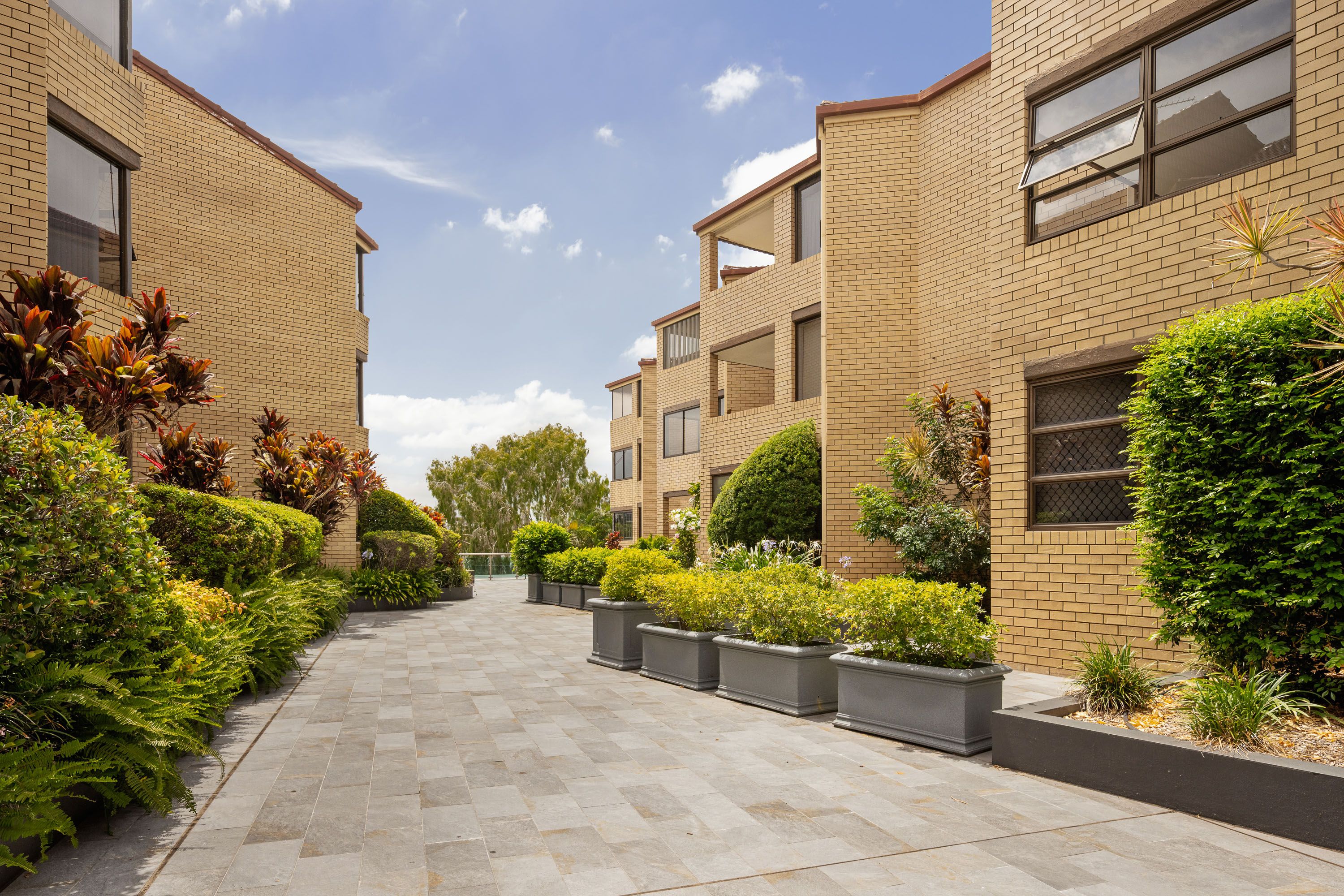 43/44 Brisbane Street, Toowong, QLD 4066