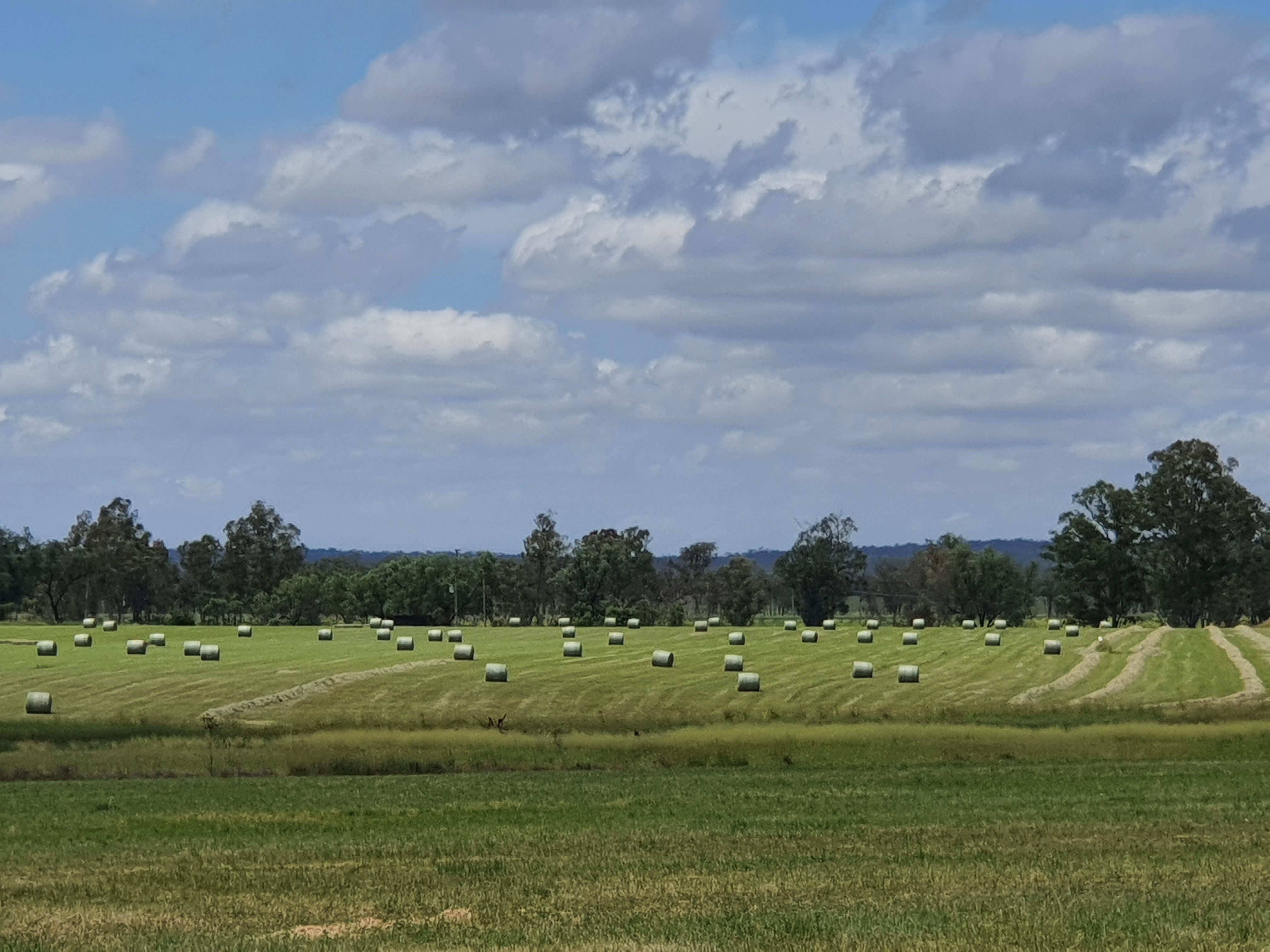 114 A Creek Road, Grosvenor, Eidsvold, QLD 4627 Rural Cropping