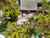 9/146 St Johns Road photo 15