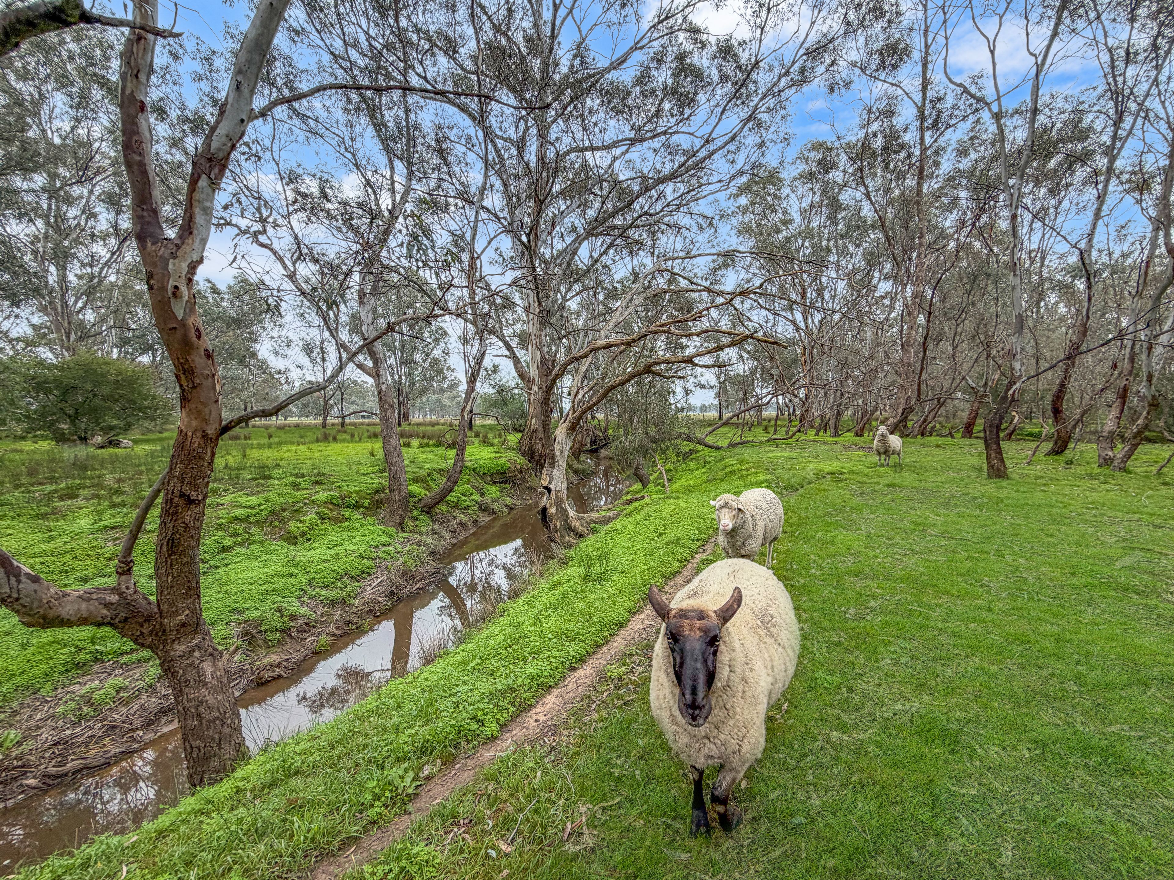 20 Toohey Street, Baddaginnie, VIC 3670
